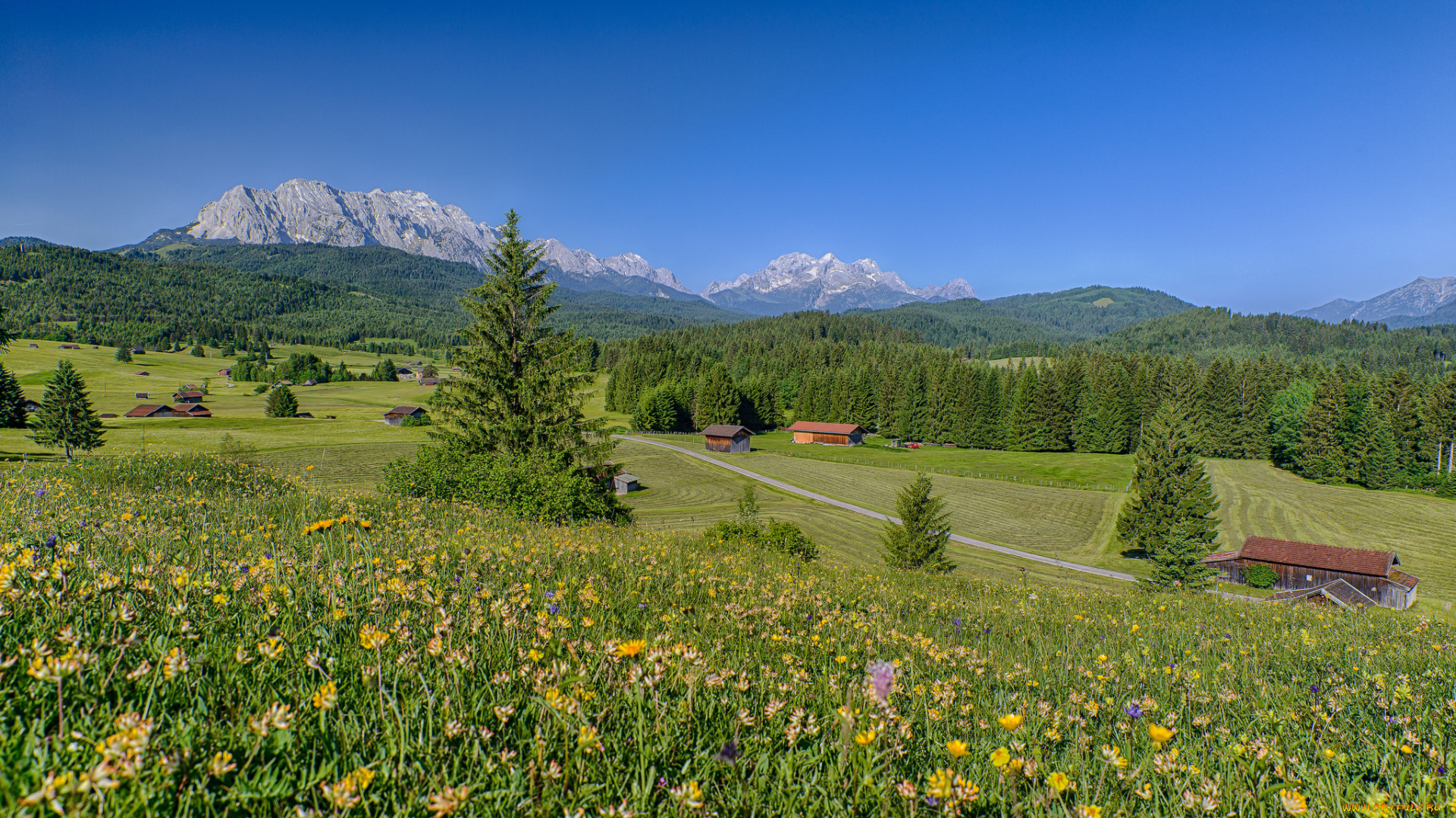 bavaria, , germany, природа, луга, germany, alps, бавария, германия, альпы, цветы, горы, лес, дома, пейзаж