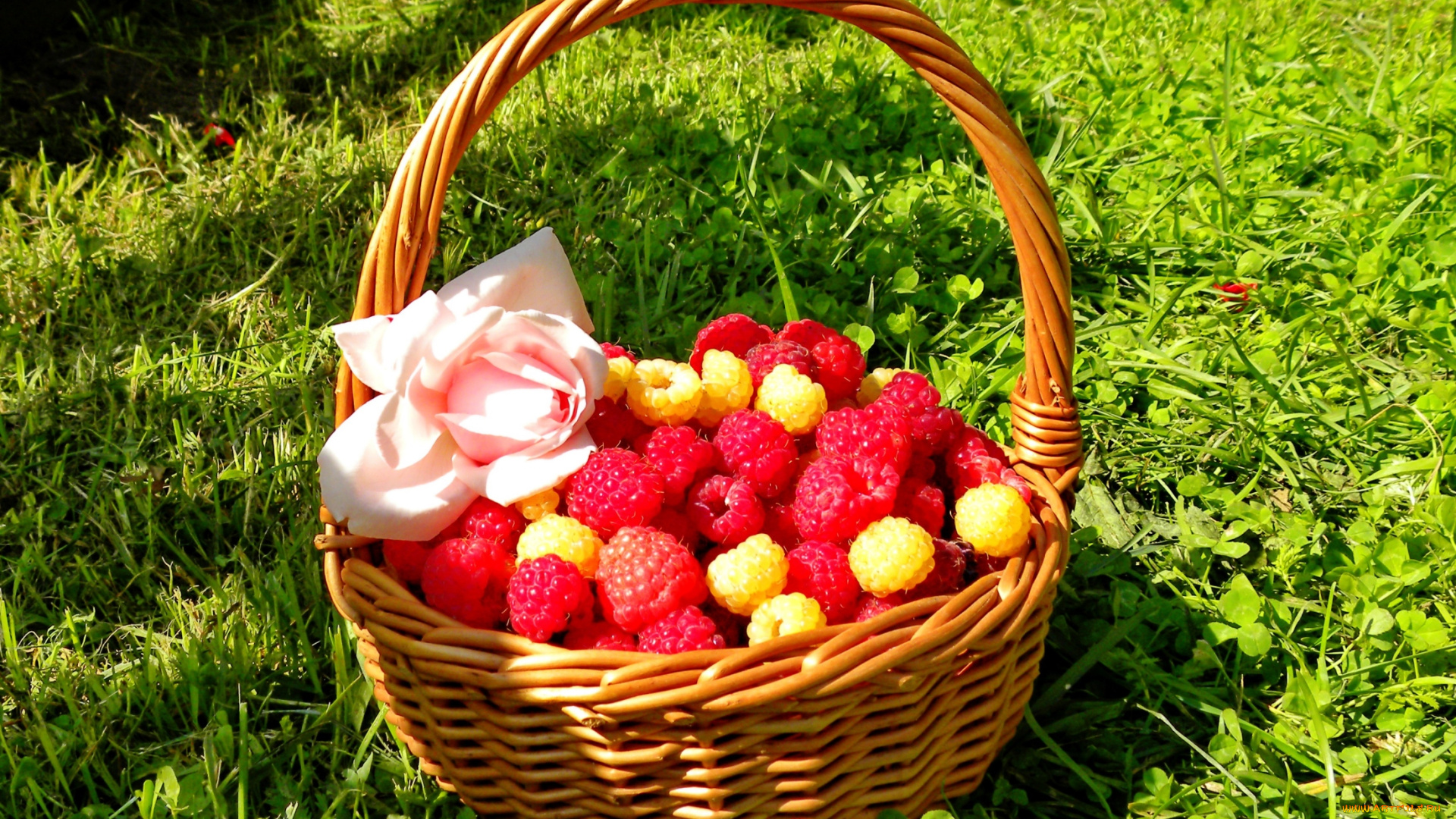 еда, малина, корзинка