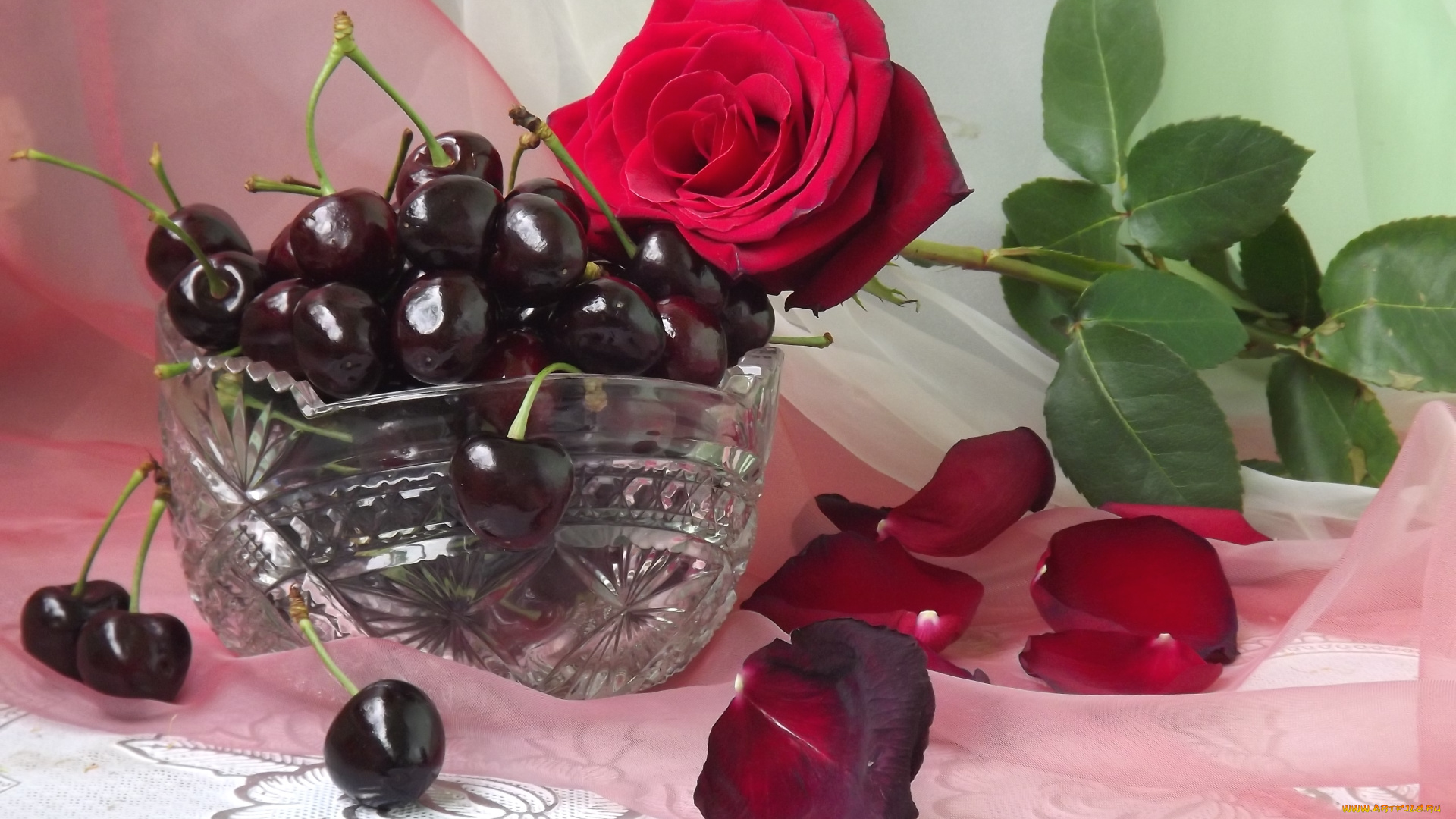 еда, вишня, , черешня, роза, черешня