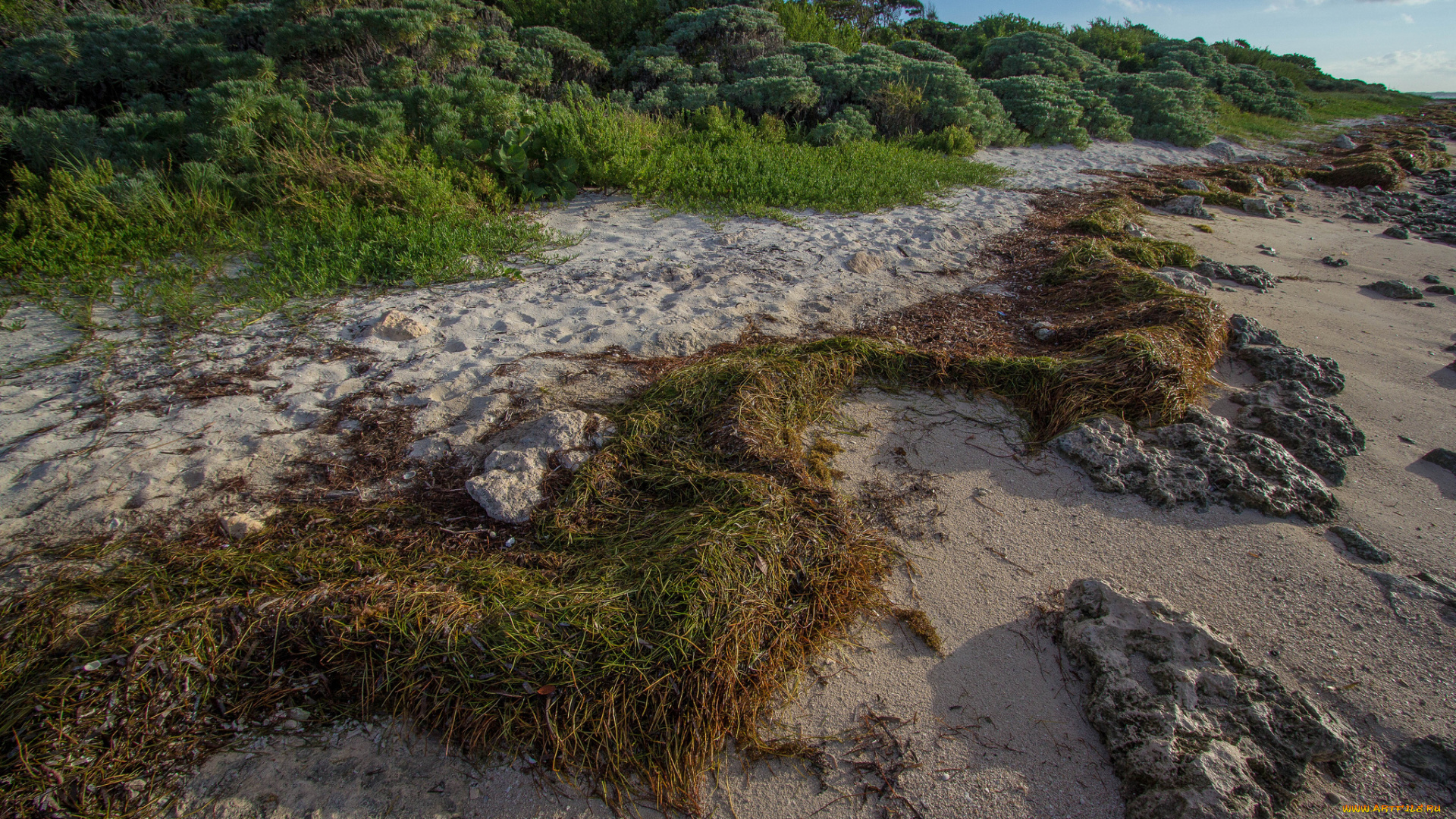 природа, дороги, следы, камни, песок, трава