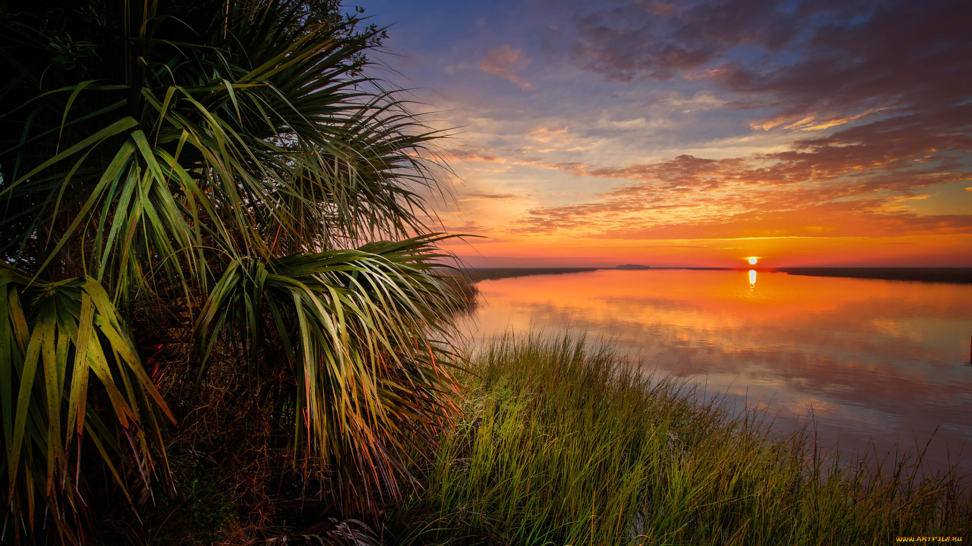 природа, восходы, закаты, водоем, солнце, горизонт, пальмы