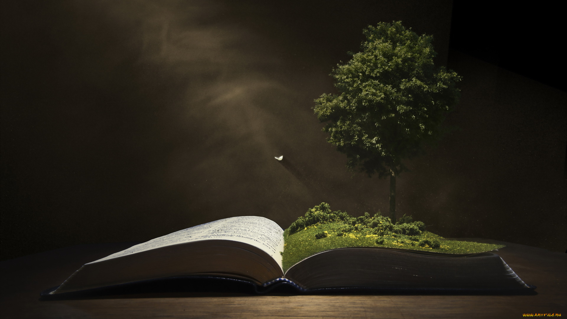 разное, компьютерный, дизайн, фон, дерево, книга