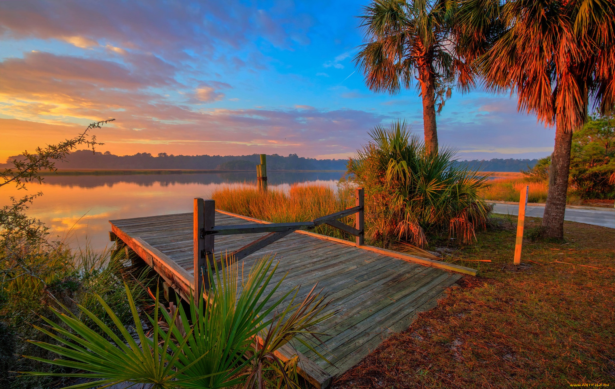 природа, реки, озера, облака, берег, мостик, пальмы