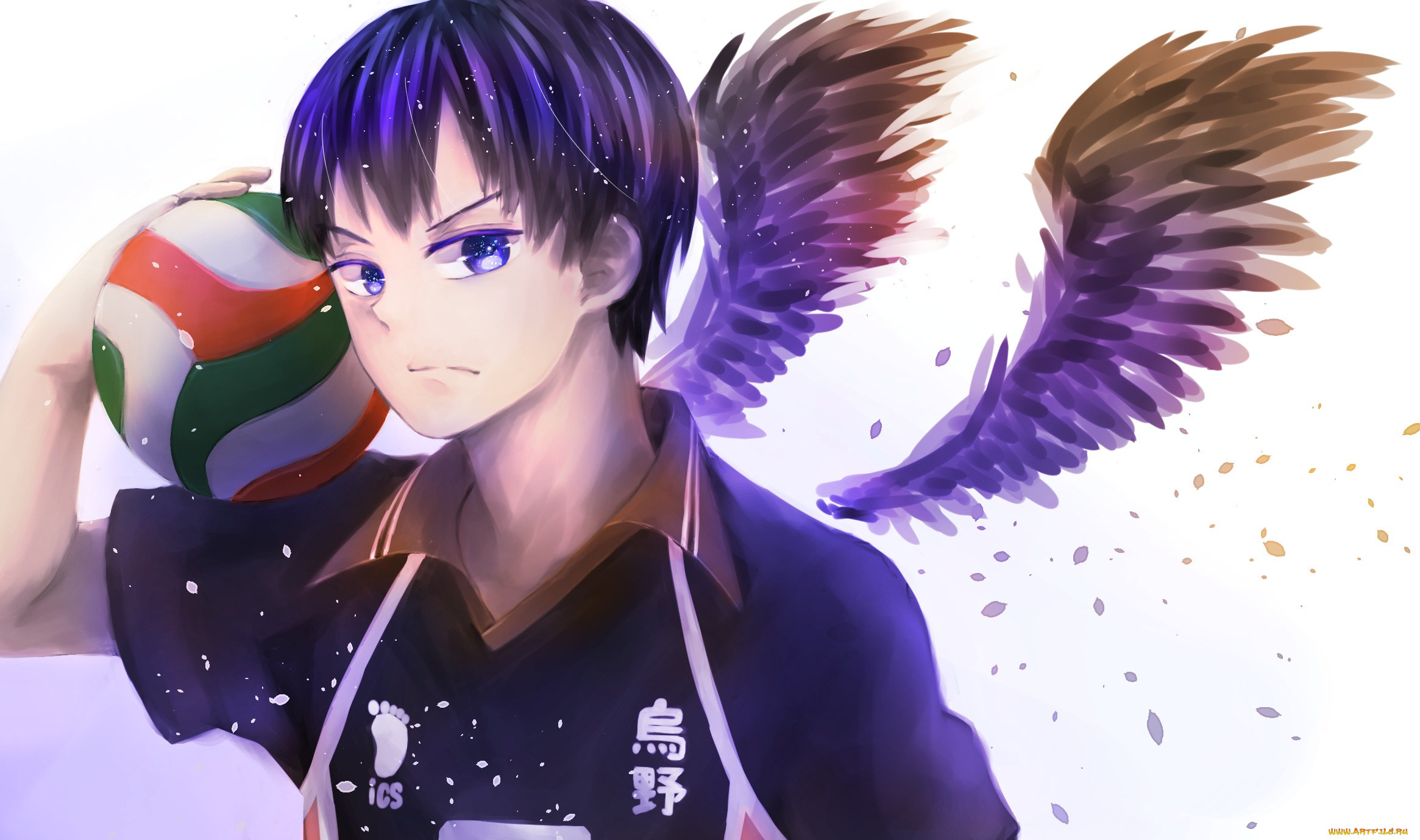 аниме, haikyuu, nyoki1228, арт, крылья, мяч, парень, tobio, kageyama