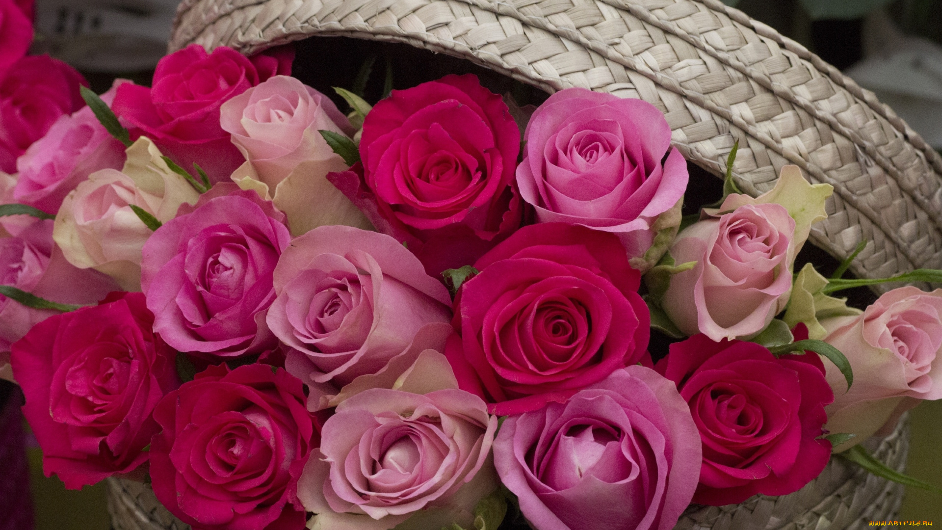 цветы, розы, корзинка, бутоны