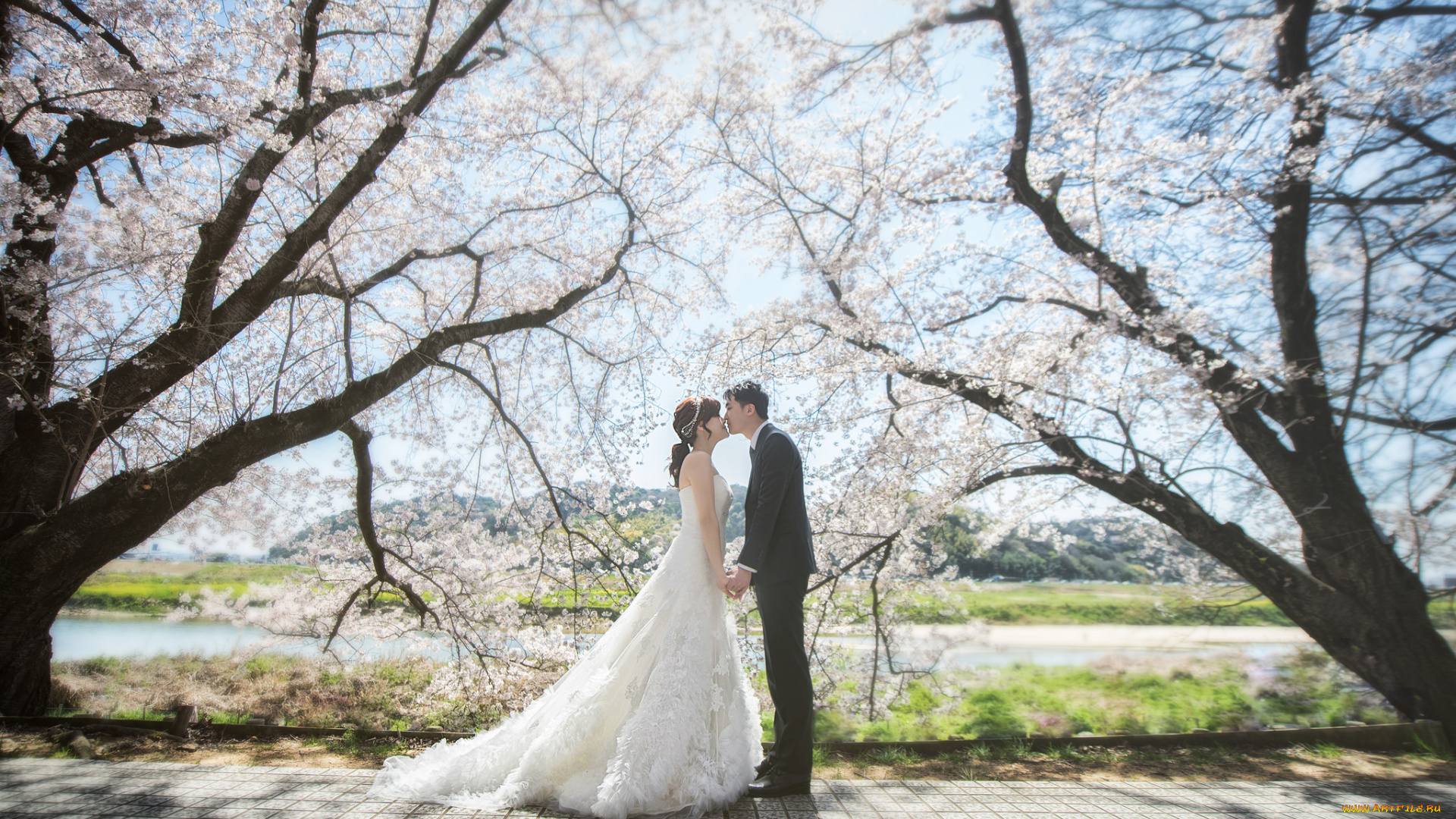 разное, мужчина, женщина, невеста, жених, любовь, девушка, пара, парень, азиаты, праздник, свадьба