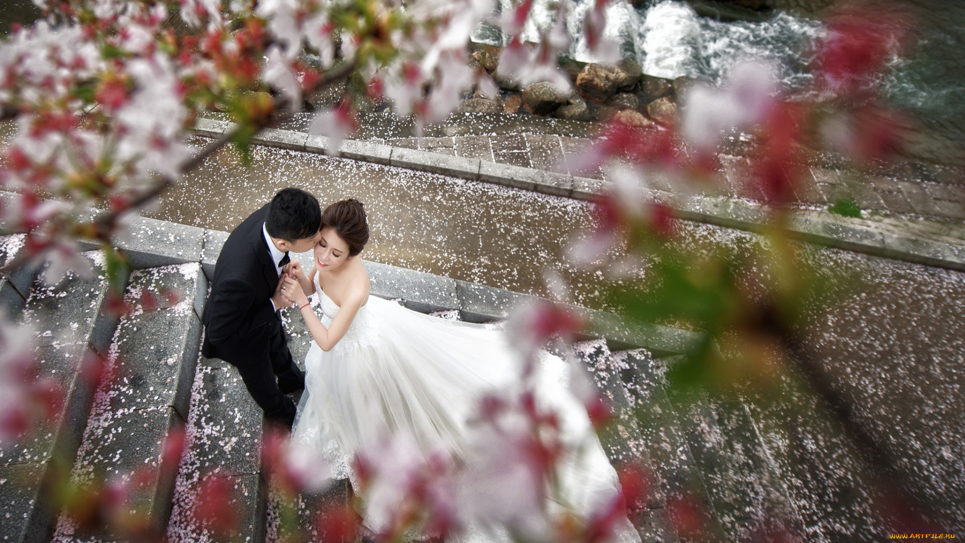 разное, мужчина, женщина, невеста, жених, любовь, девушка, пара, парень, азиаты, праздник, свадьба