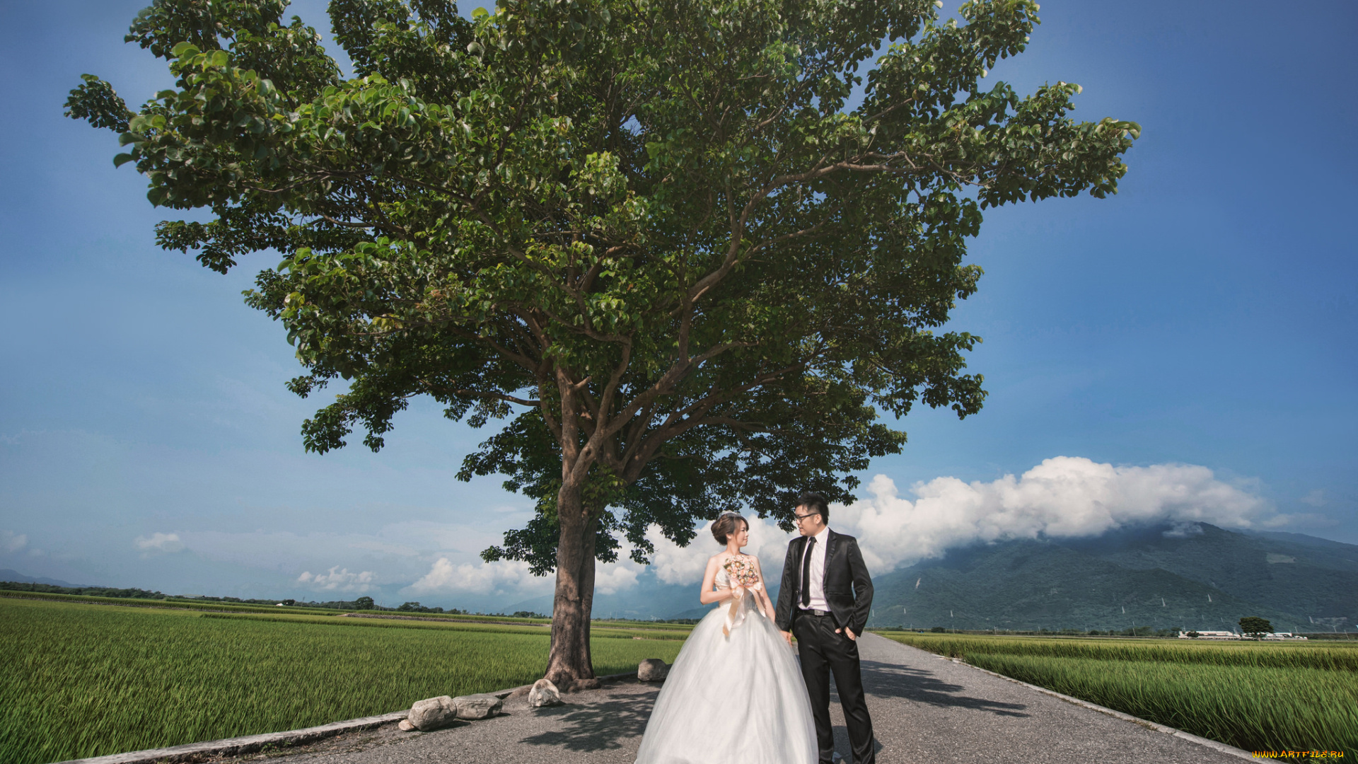разное, мужчина, женщина, пара, любовь, парень, девушка, свадьба, невеста, жених, небо, дерево, поле