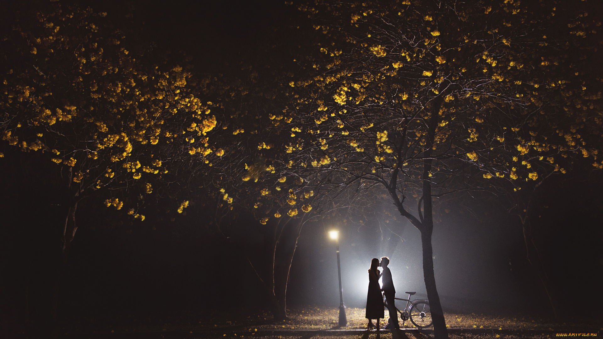 разное, мужчина, женщина, пара, парень, девушка, силуэты, ночь, свет, парк, деревья, любовь, поцелуй