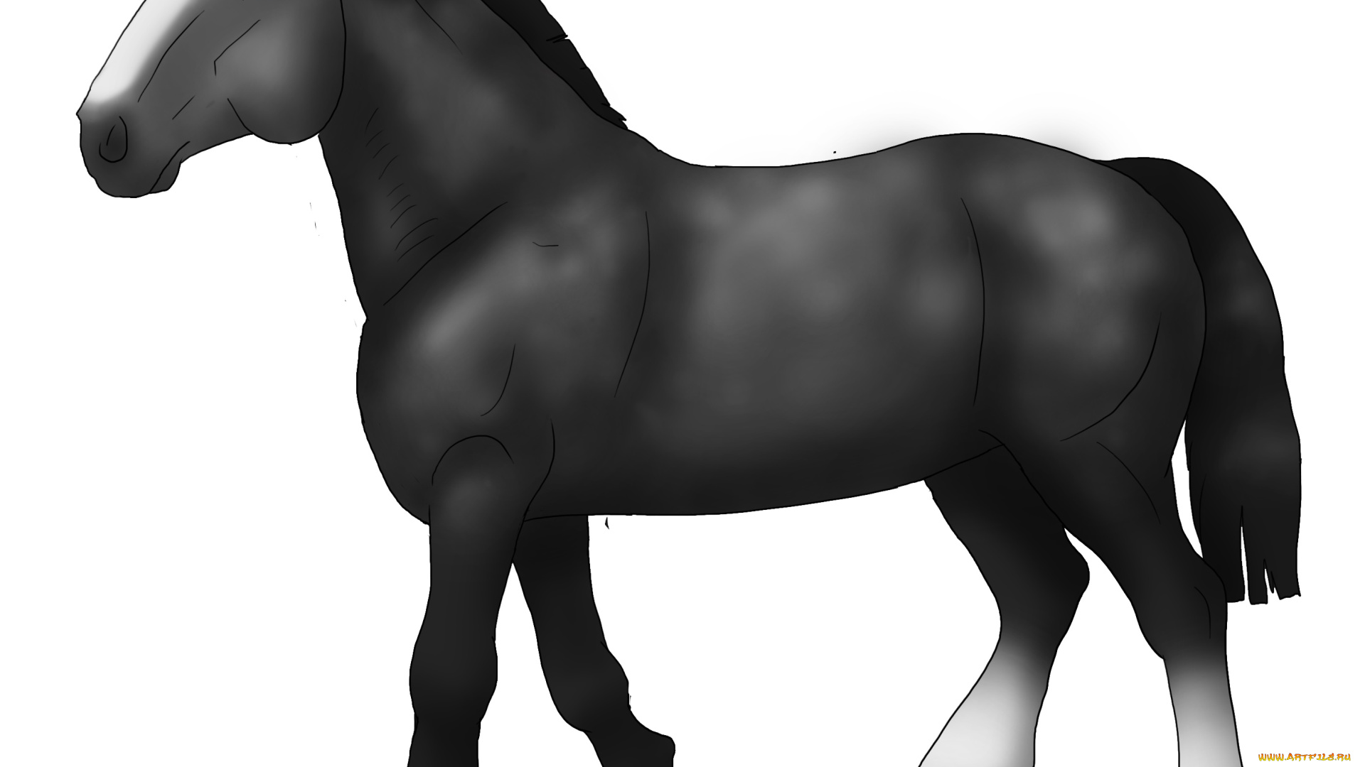 рисованное, животные, , лошади, лошадь, фон