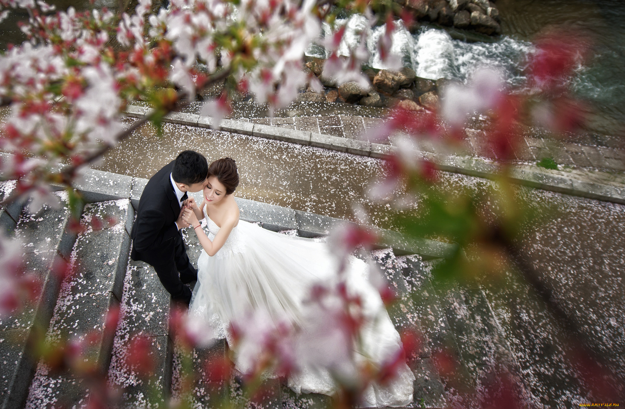 разное, мужчина, женщина, невеста, жених, любовь, девушка, пара, парень, азиаты, праздник, свадьба