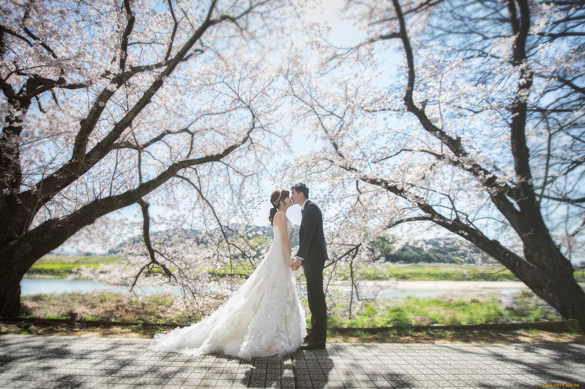 разное, мужчина, женщина, невеста, жених, любовь, девушка, пара, парень, азиаты, праздник, свадьба