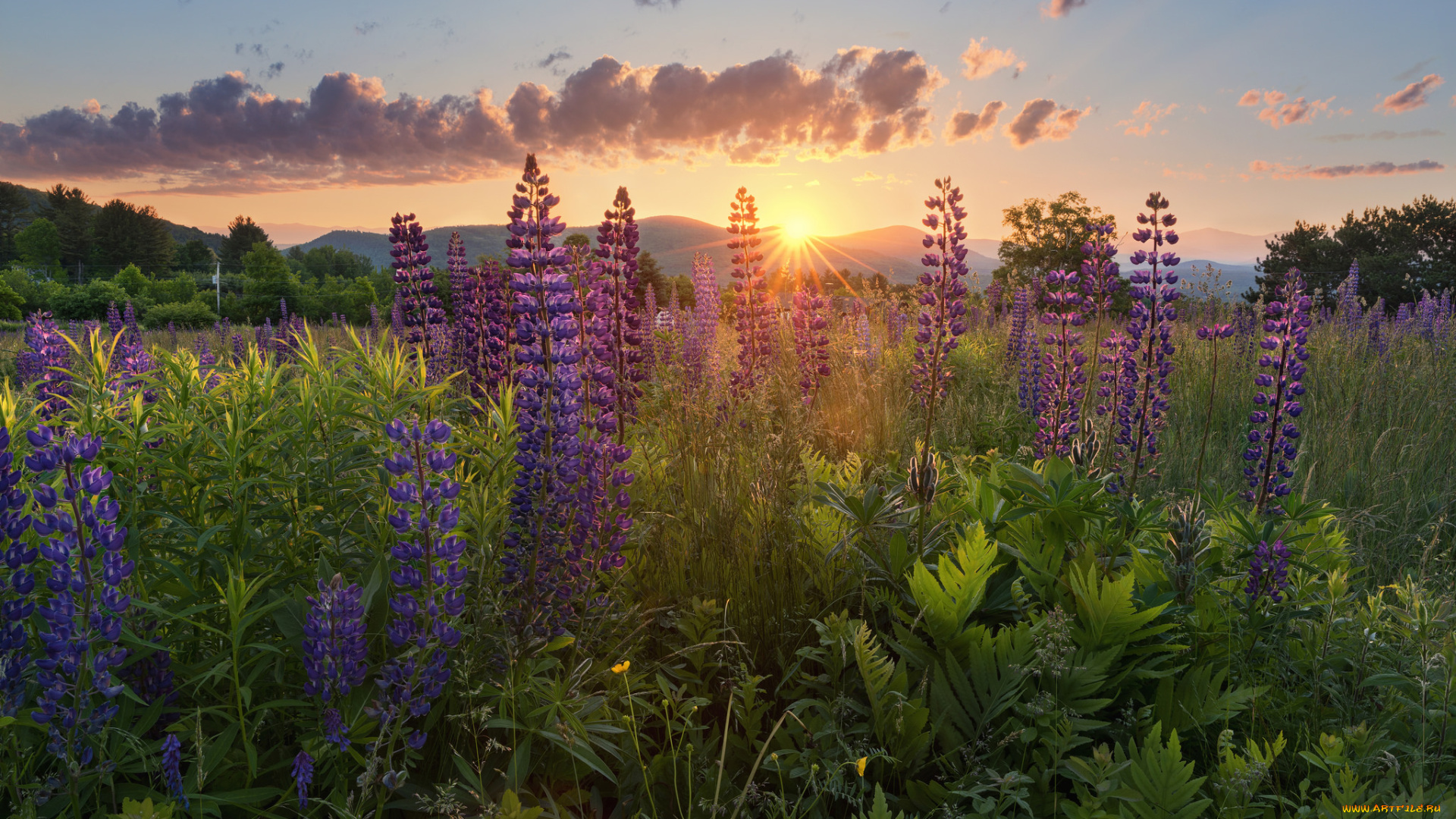 природа, восходы, закаты, рассвет