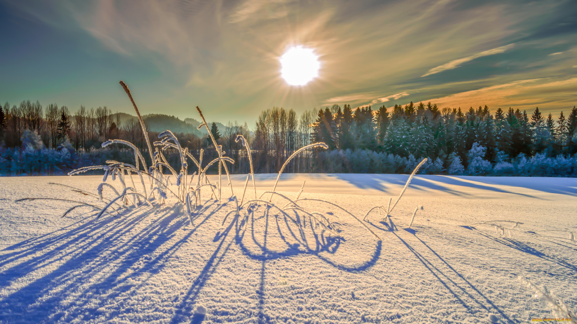 природа, зима, снег