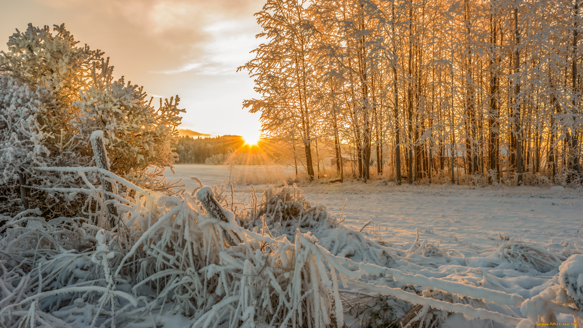 природа, зима, снег