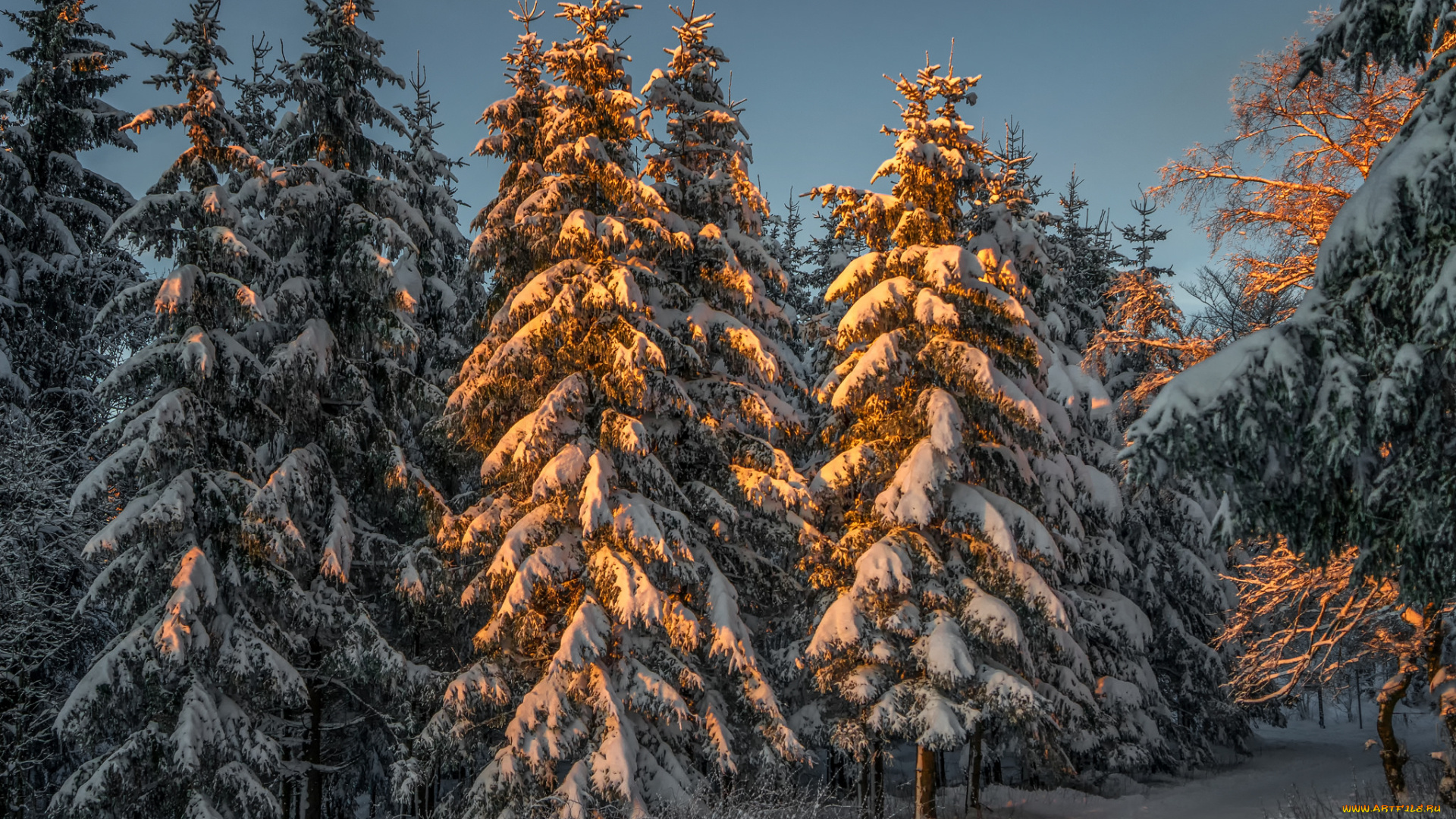 природа, зима, снег