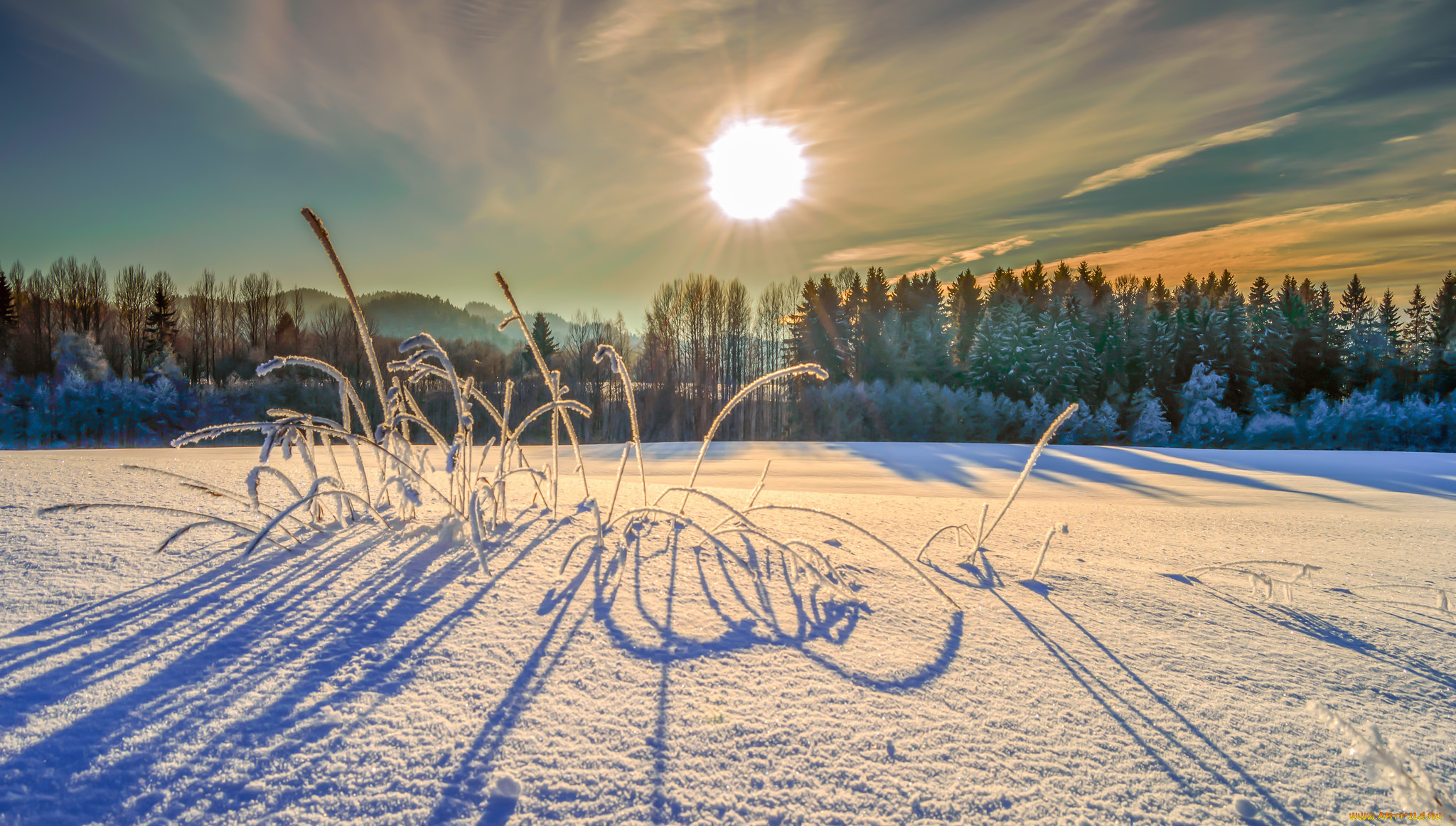 природа, зима, снег