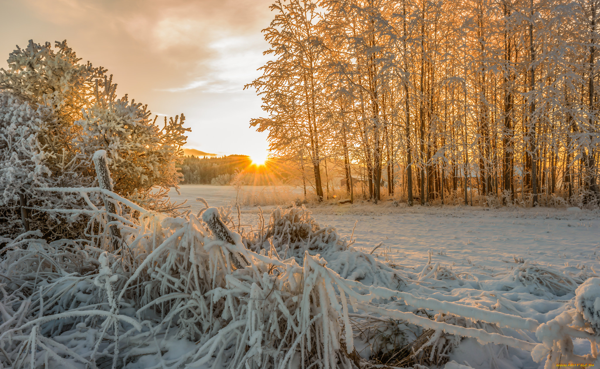 природа, зима, снег