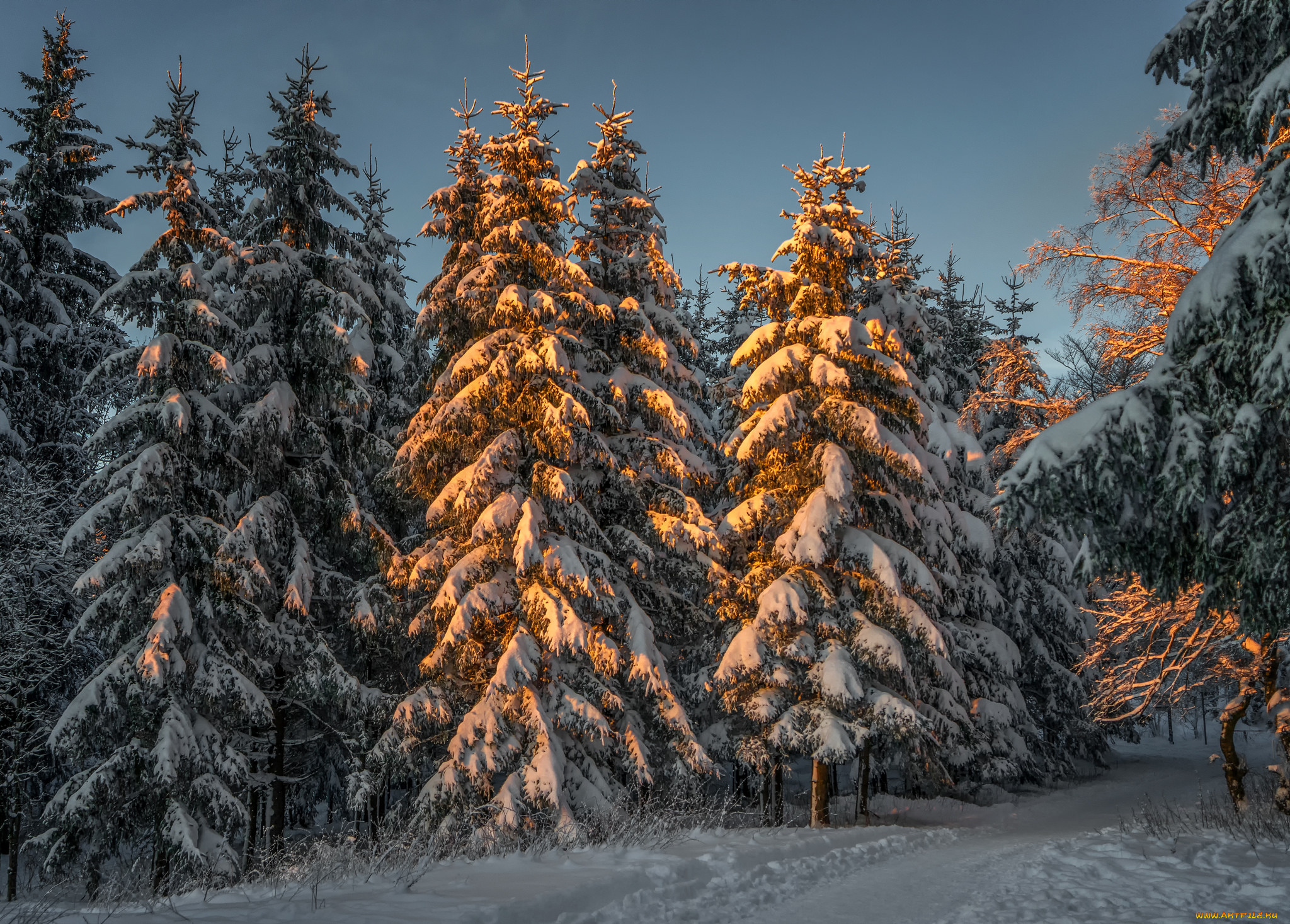 природа, зима, снег