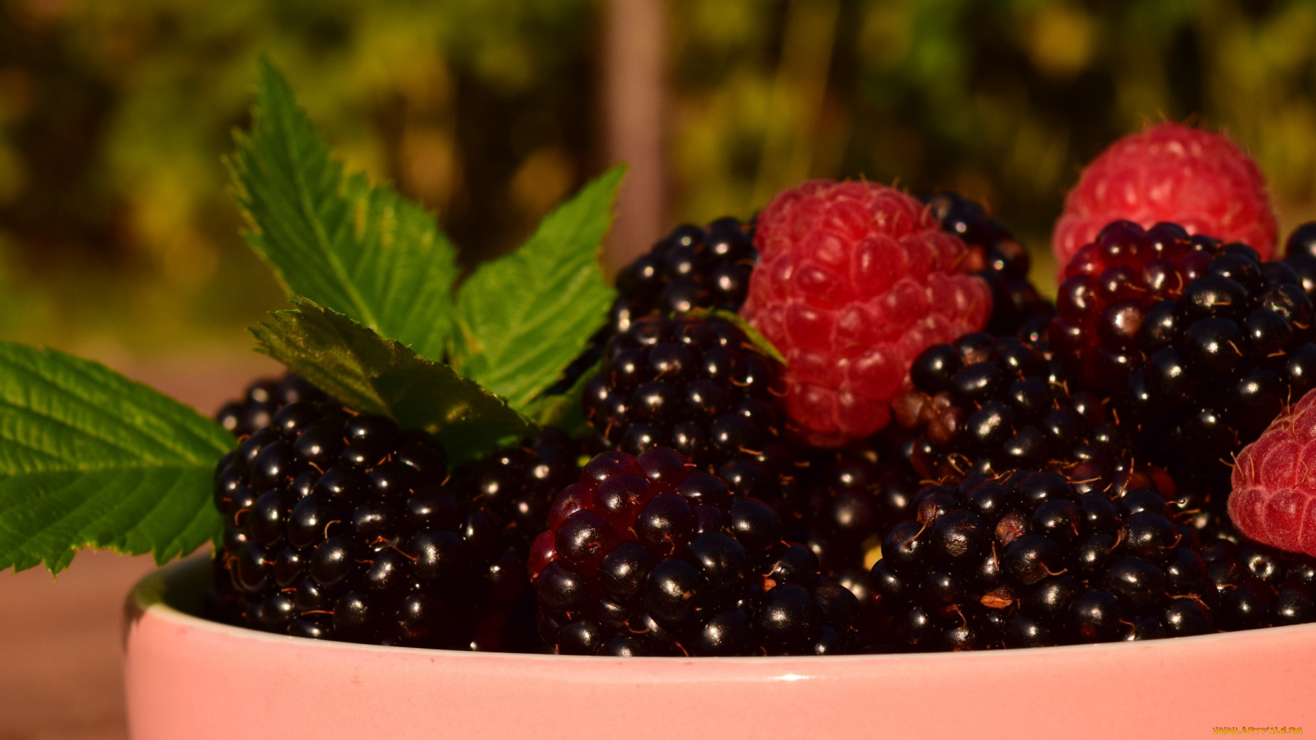 еда, фрукты, , ягоды, ежевика, лето, природа, чашка, сочно, много, макро, миска, пиала, блеск, зелень, вкусно, малина, ягоды, листья