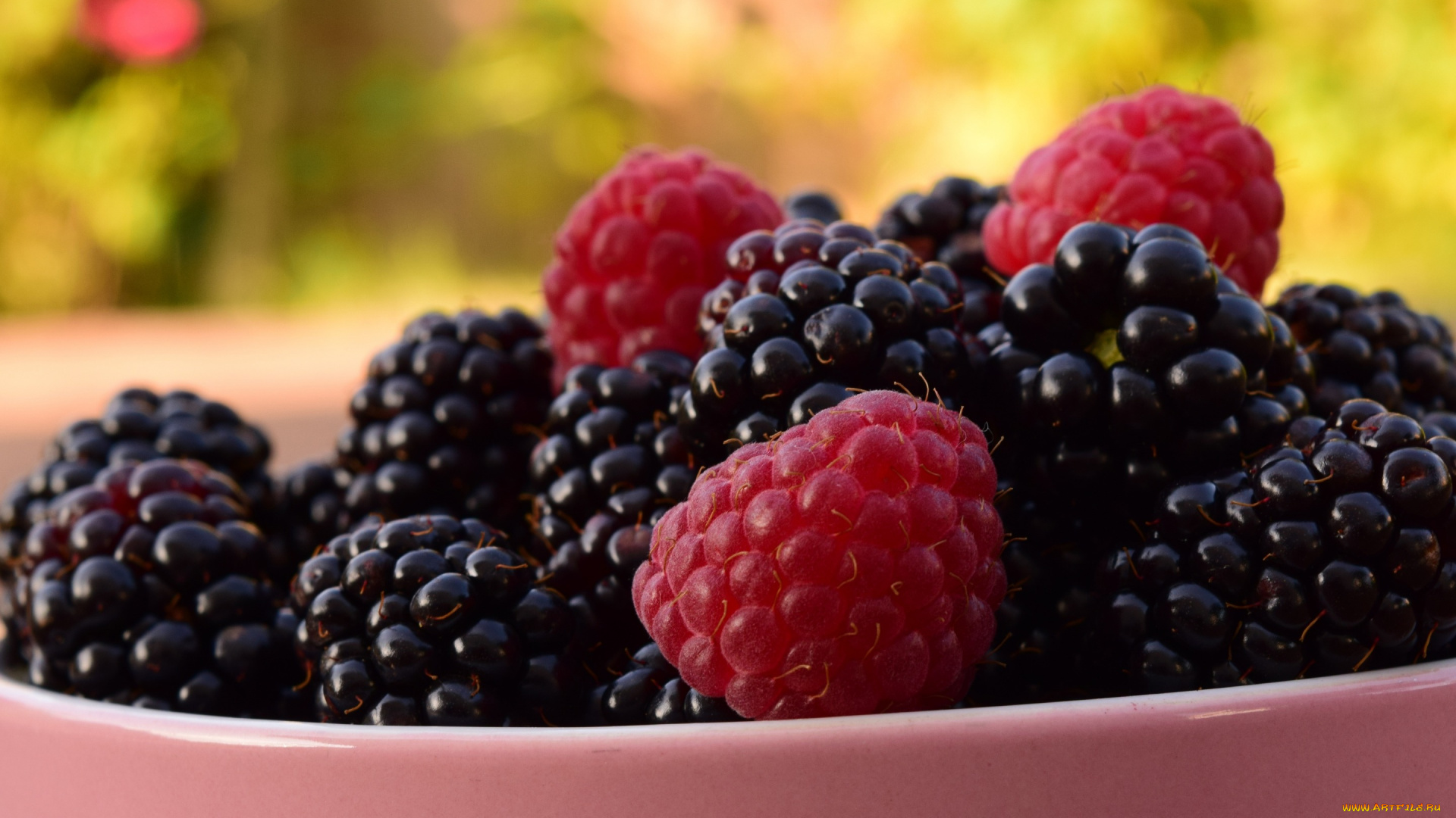 еда, фрукты, , ягоды, пиала, сочная, лето, вкусно, малина, ягоды, фон, природа, чашка, много, размытый, ежевика, макро, миска