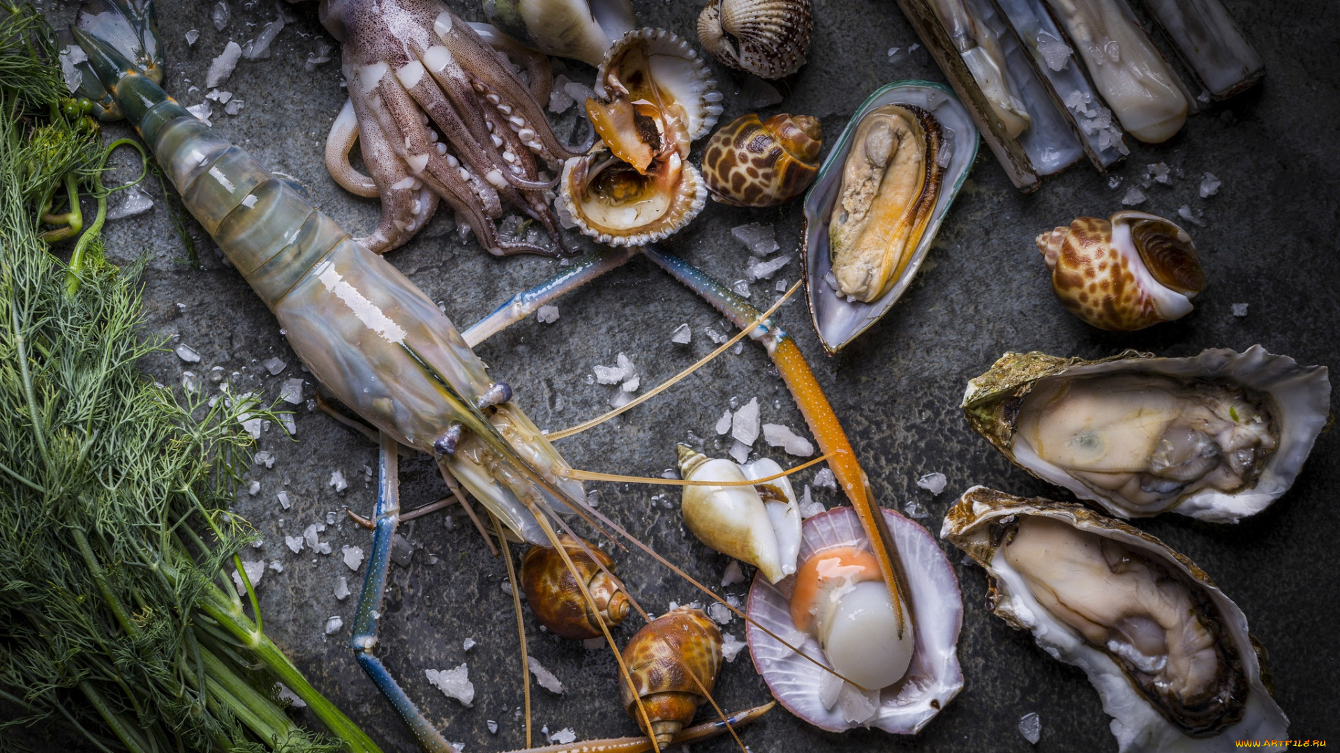 еда, рыба, , морепродукты, , суши, , роллы, устрицы, креветки, морепродукты, кальмар, моллюски