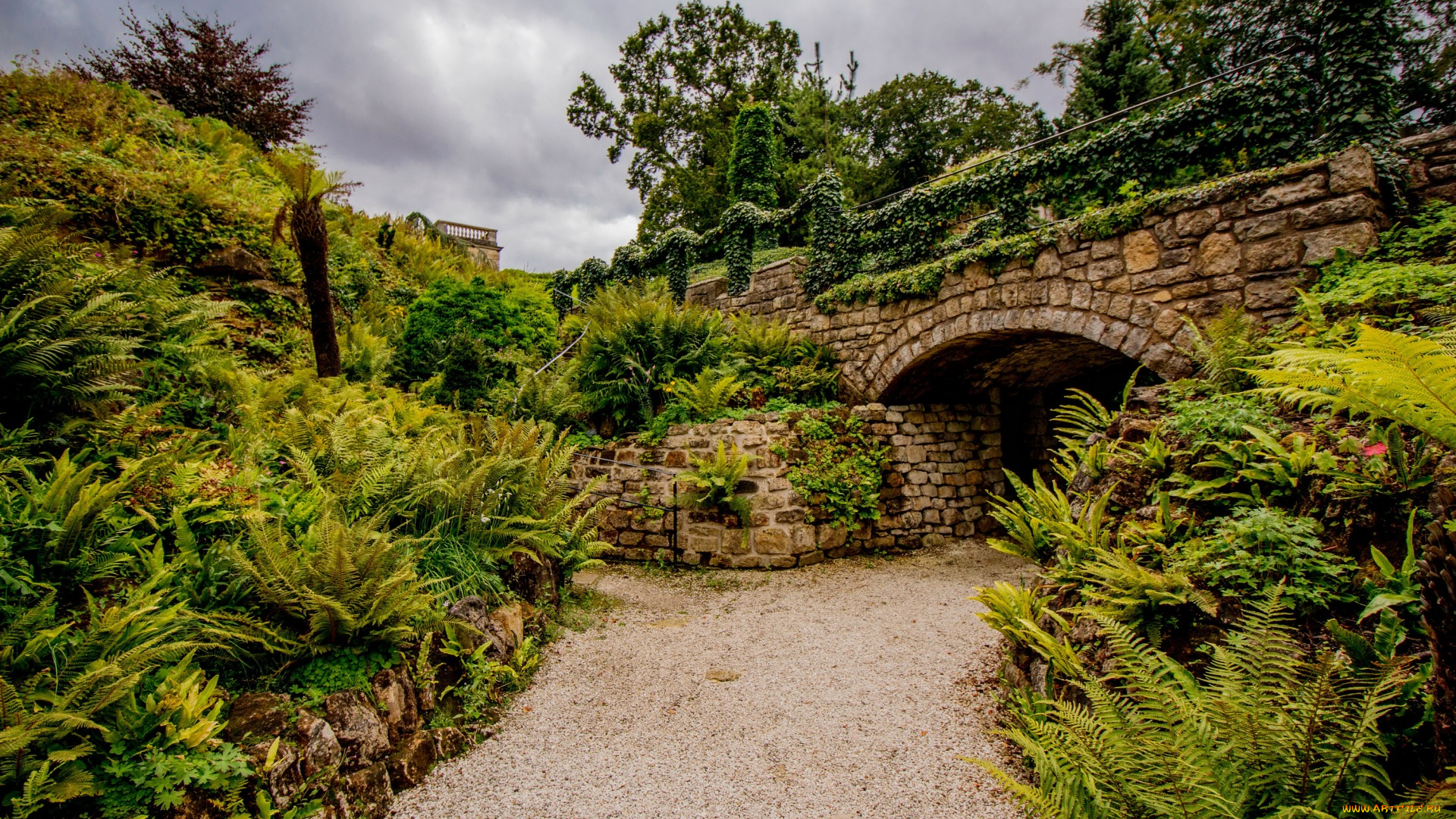 города, -, мосты, трава, небо, растения