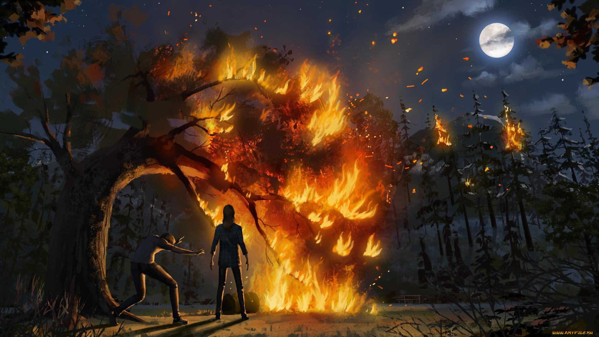 life, is, strange, , before, the, storm, видео, игры, персонаж