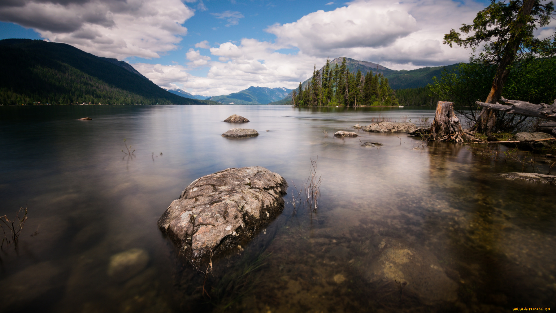 природа, реки, озера, лес, река