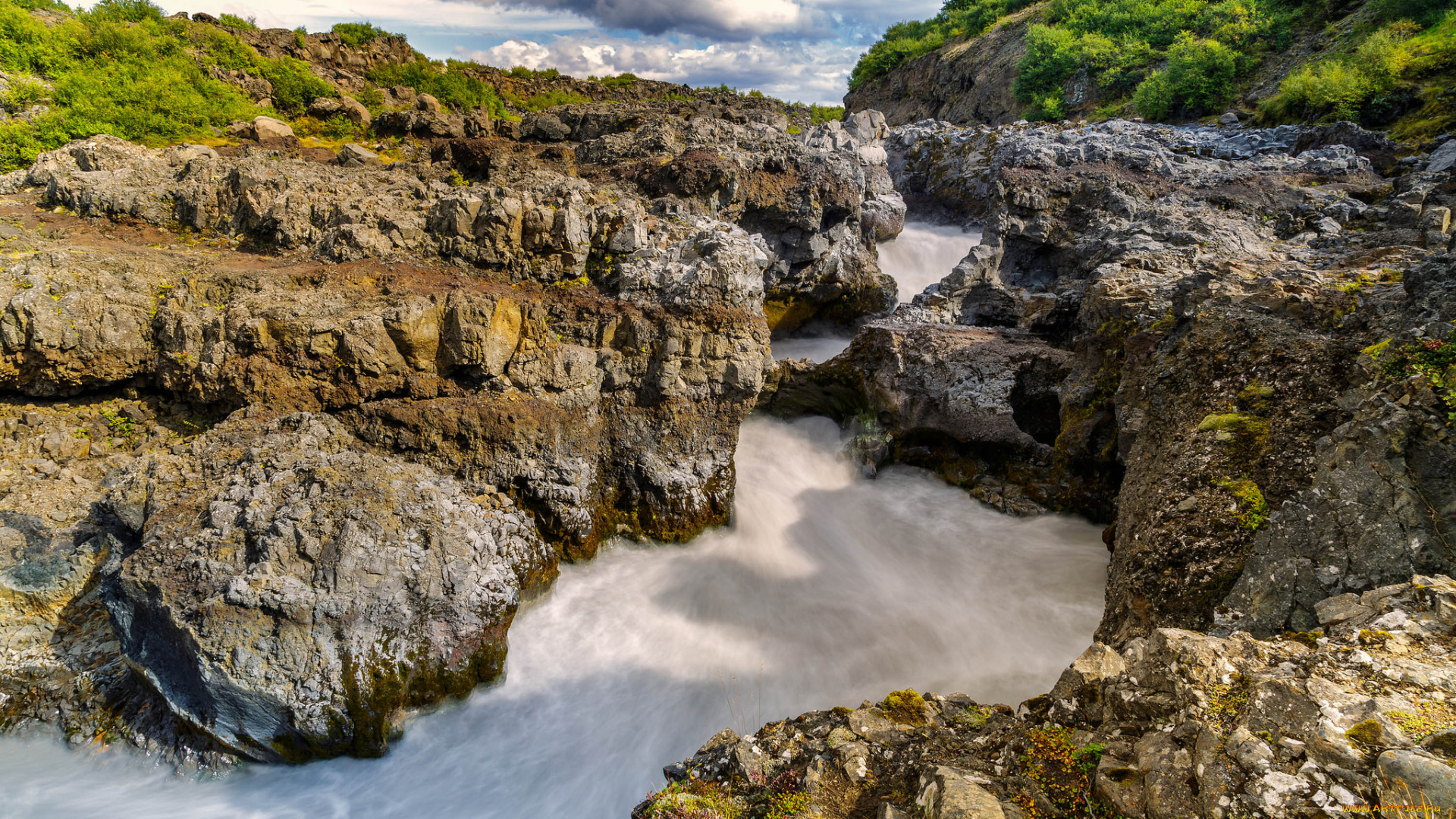 природа, реки, озера, лес, река