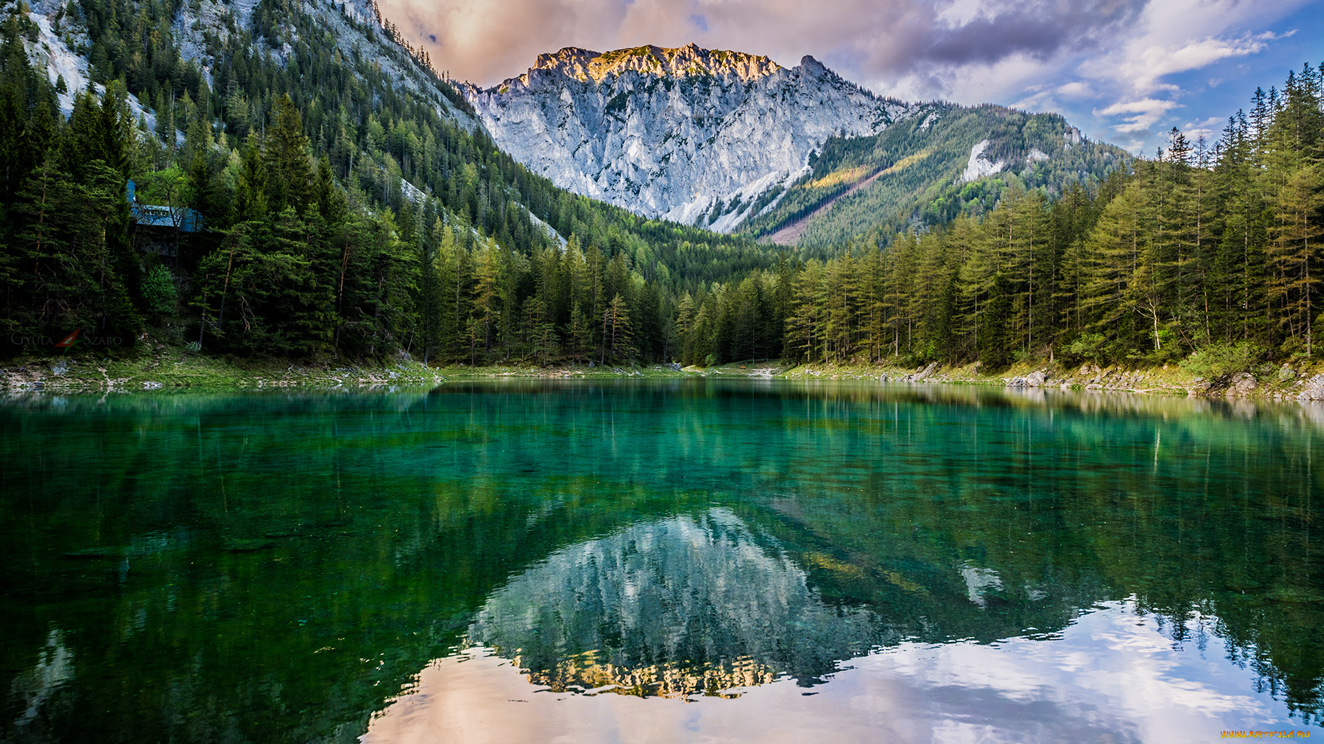 природа, реки, озера, лес, река