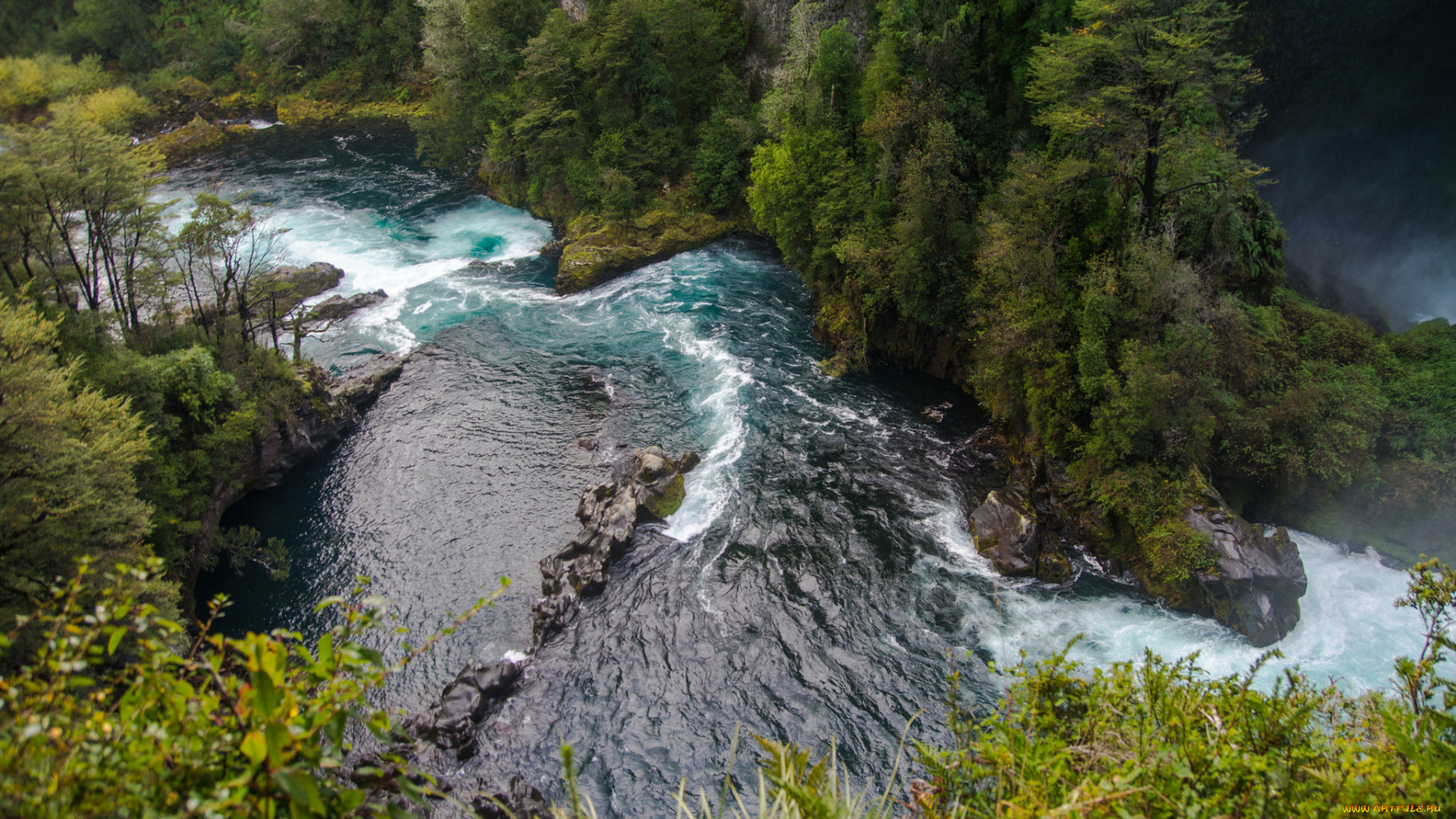 природа, реки, озера, лес, река