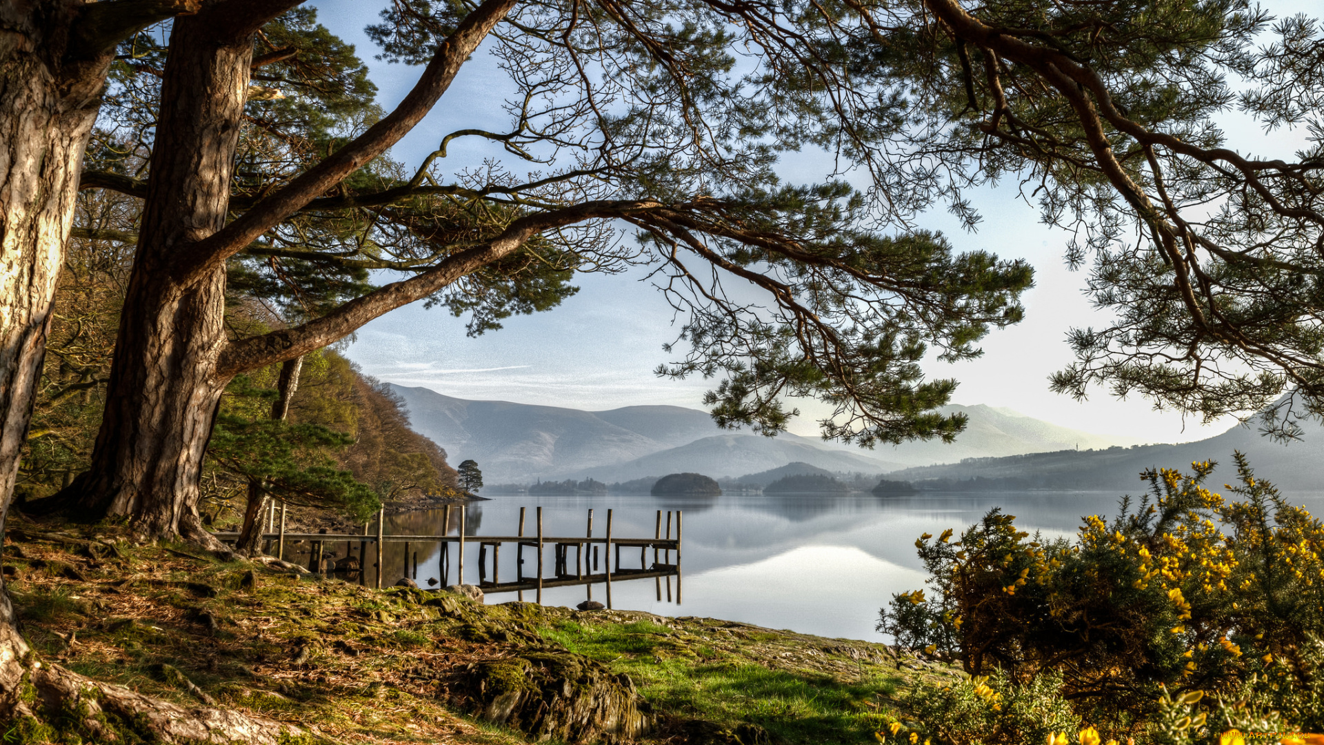 природа, реки, озера, лес, река