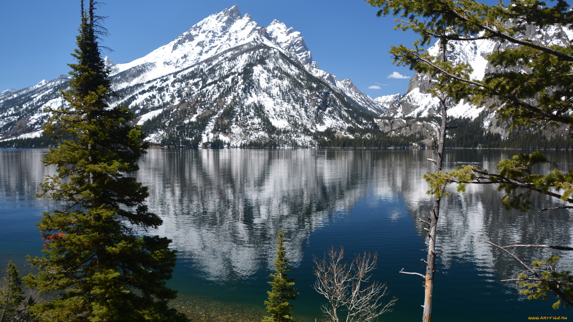 природа, реки, озера, лес, река