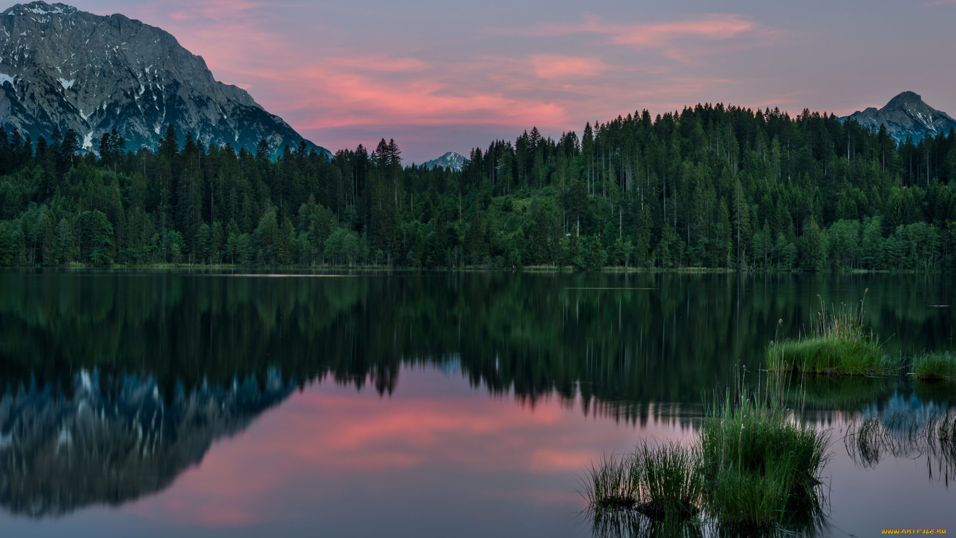 природа, реки, озера, вечер, листья, деревья, озеро