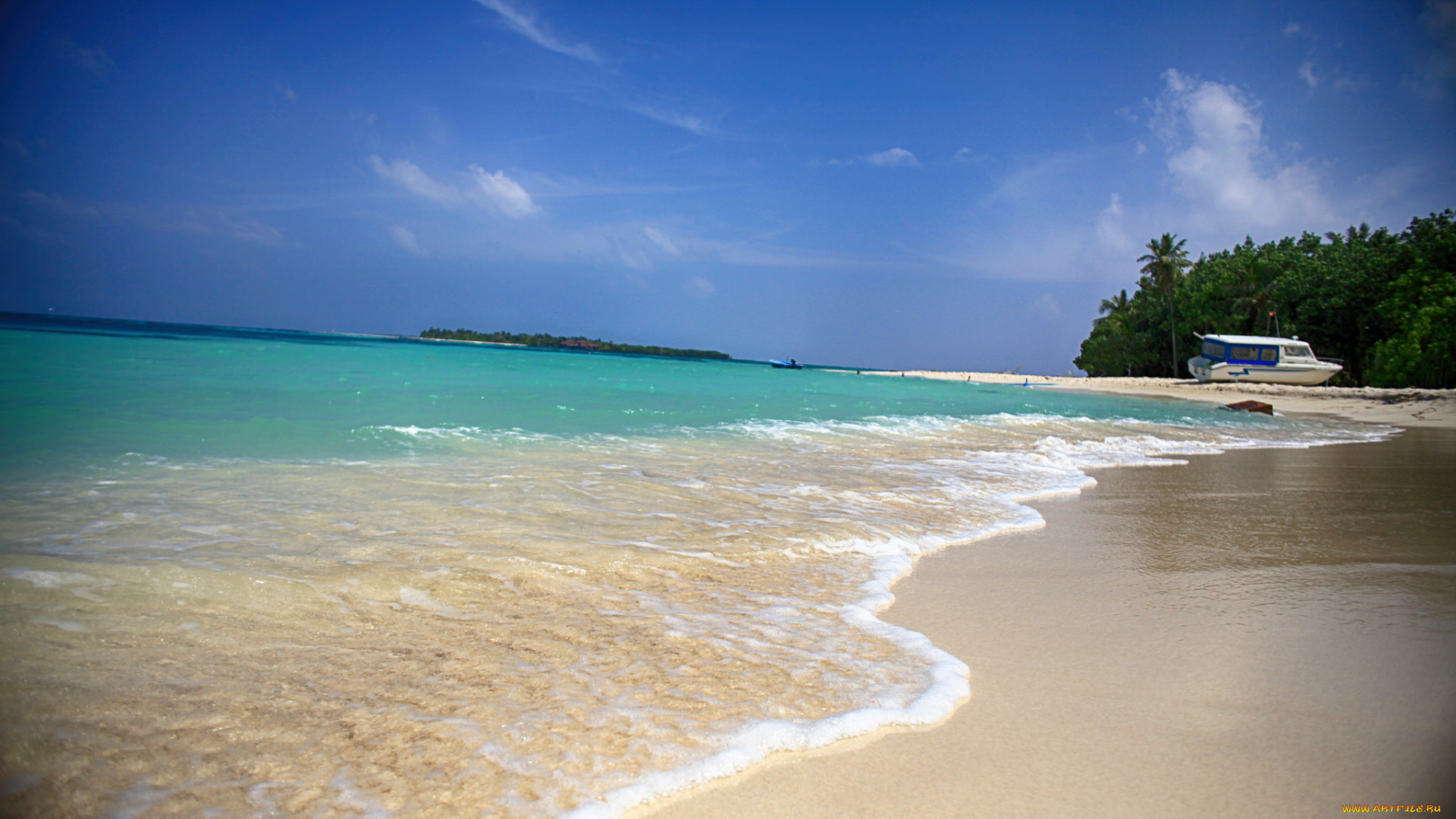 природа, тропики, море, пляж, пальмы, вода, красота