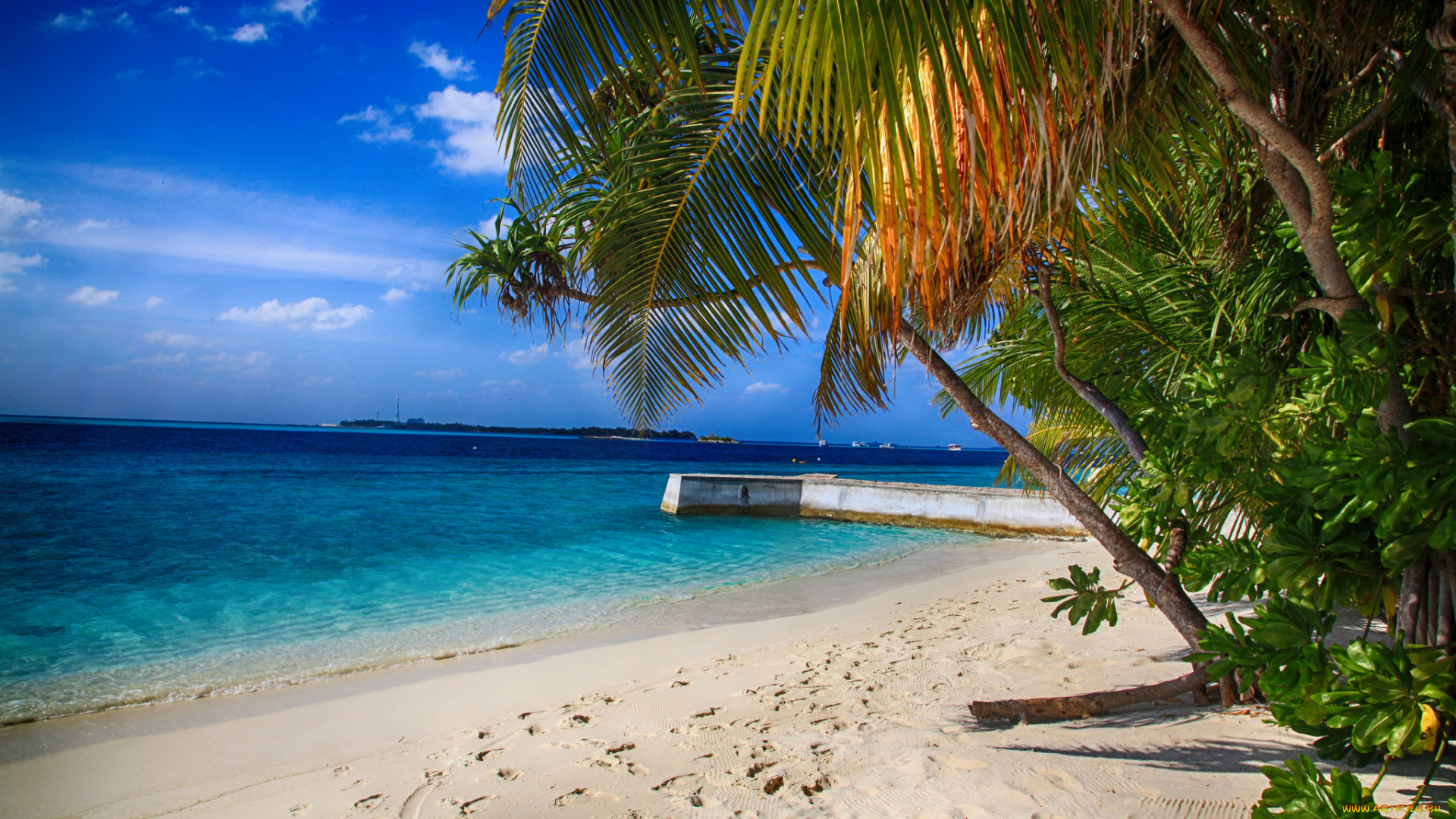 природа, тропики, море, пляж, пальмы, вода, красота