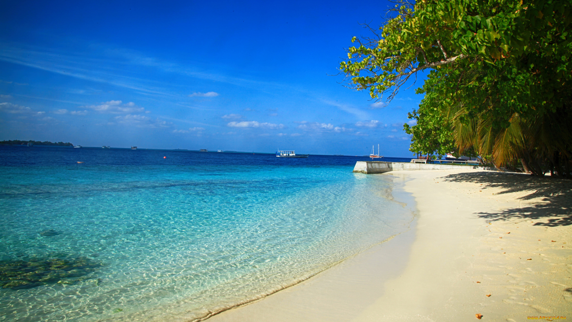 природа, тропики, море, пляж, пальмы, вода, красота