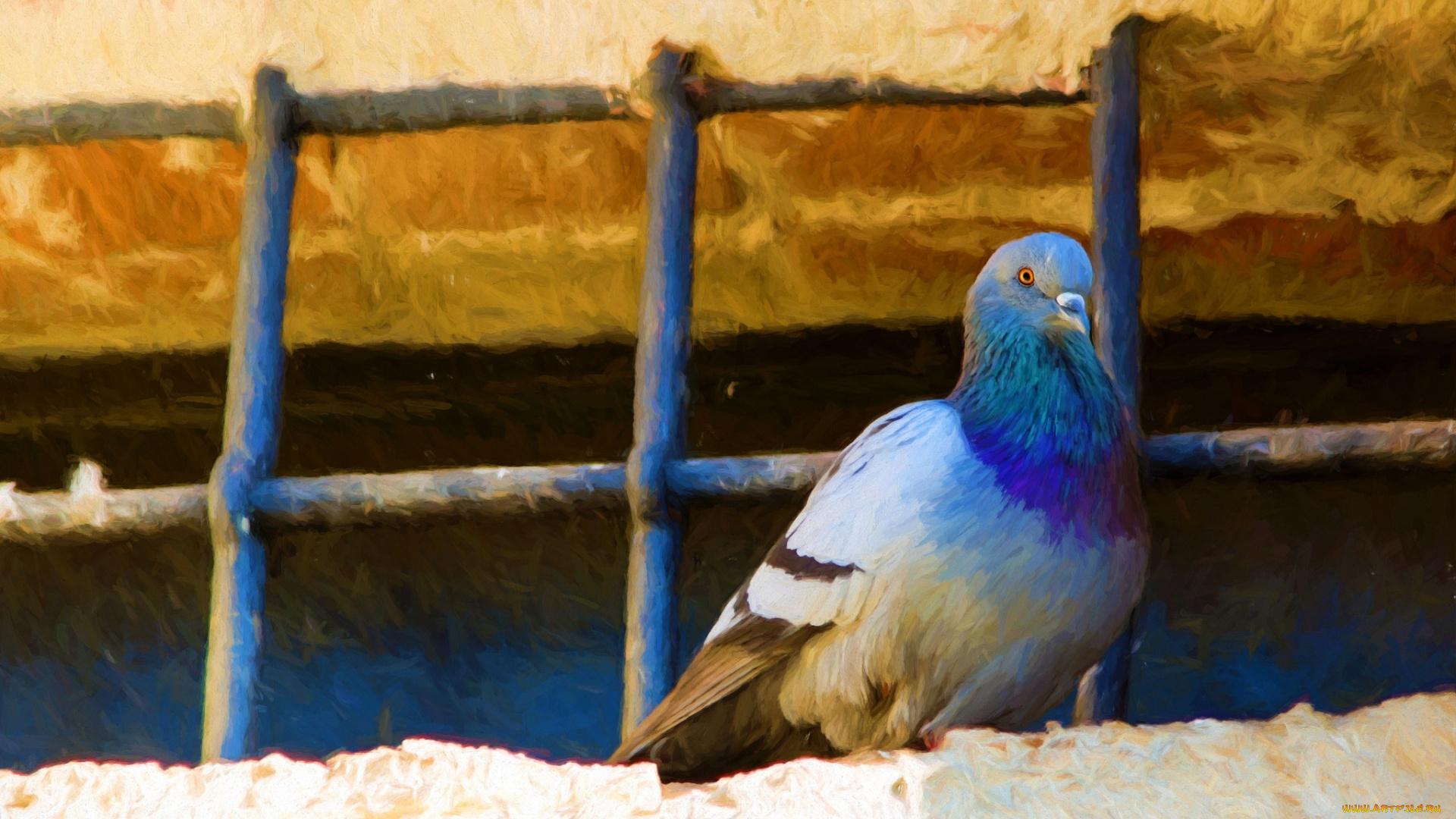 рисованное, животные, прутья, сетка, арт, живопись, крыша, мазки, птицы, рисунок, голубь, птица, синий