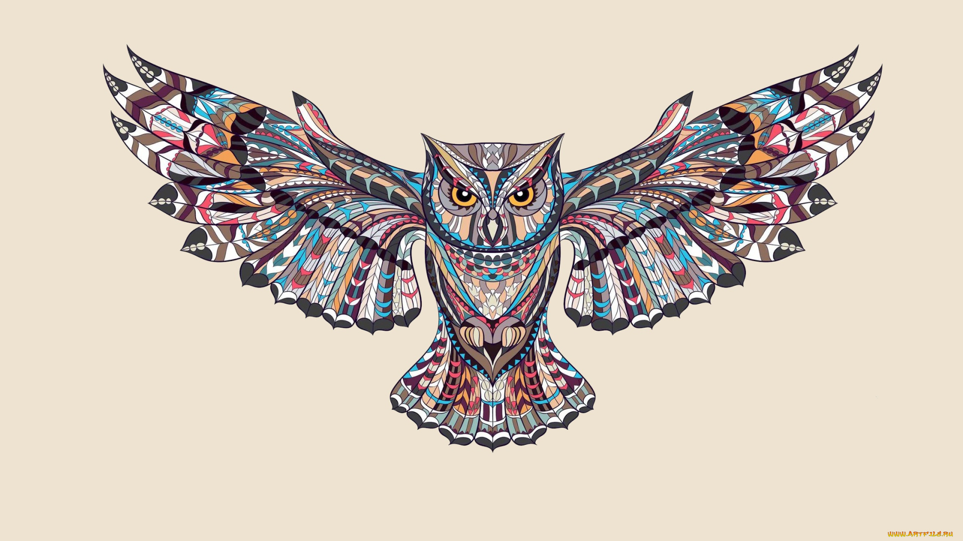 векторная, графика, животные, , animals, светлый, фон, сова, птица, крылья, owl, краски