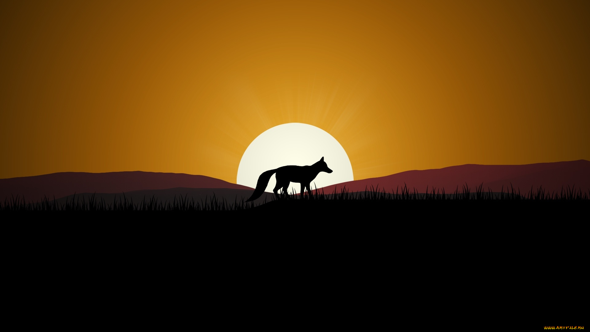 векторная, графика, животные, , animals, закат, лиса