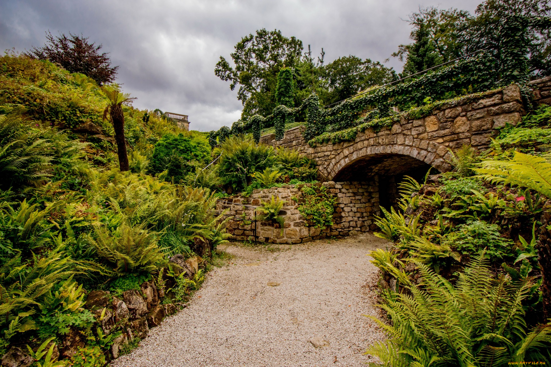 города, -, мосты, трава, небо, растения