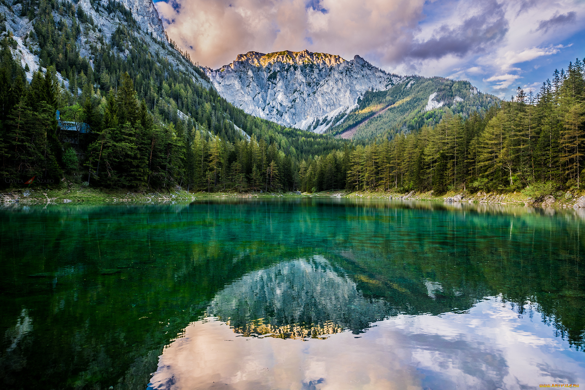 природа, реки, озера, лес, река