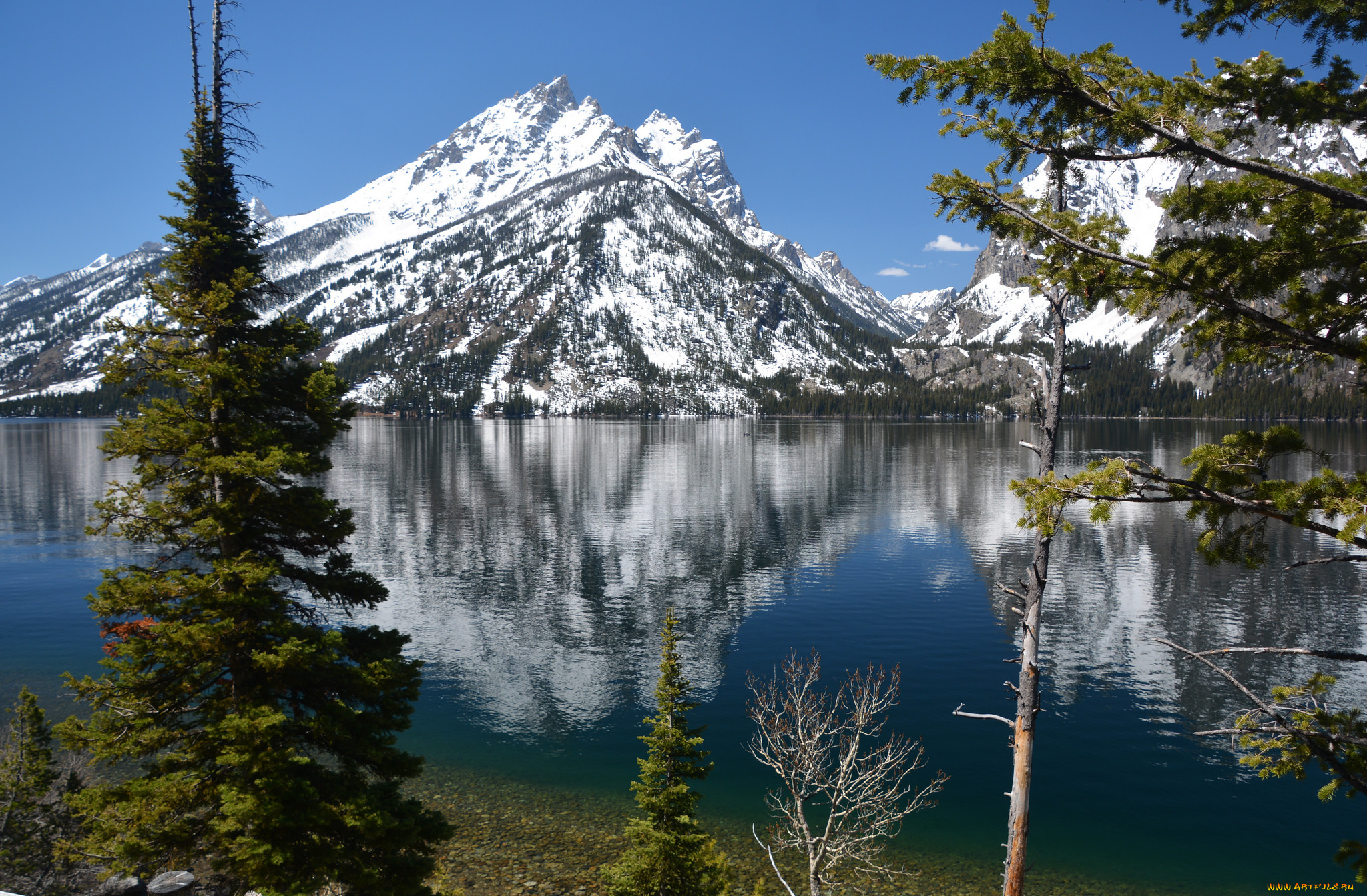 природа, реки, озера, лес, река