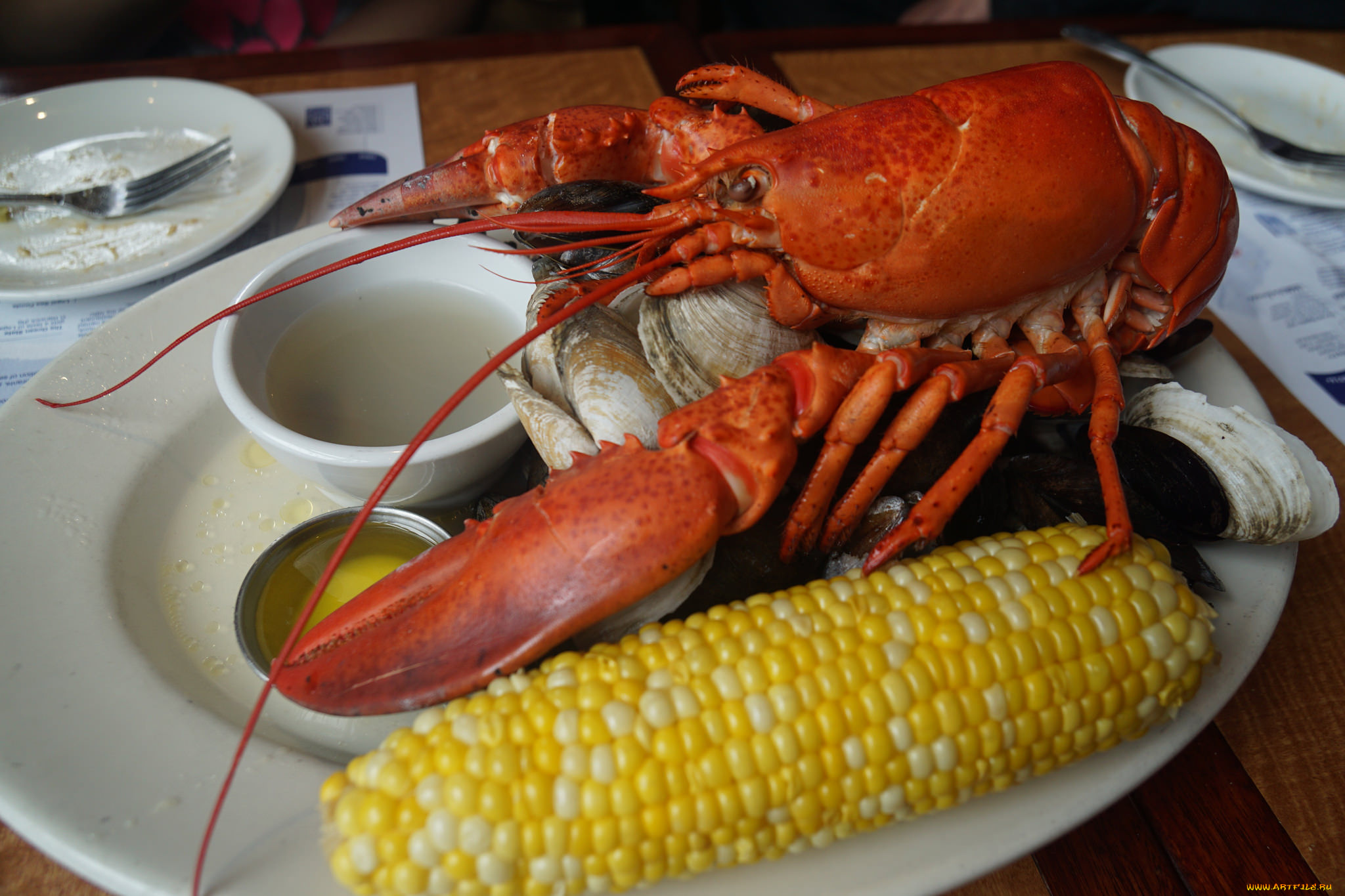 еда, рыба, , морепродукты, , суши, , роллы, омар