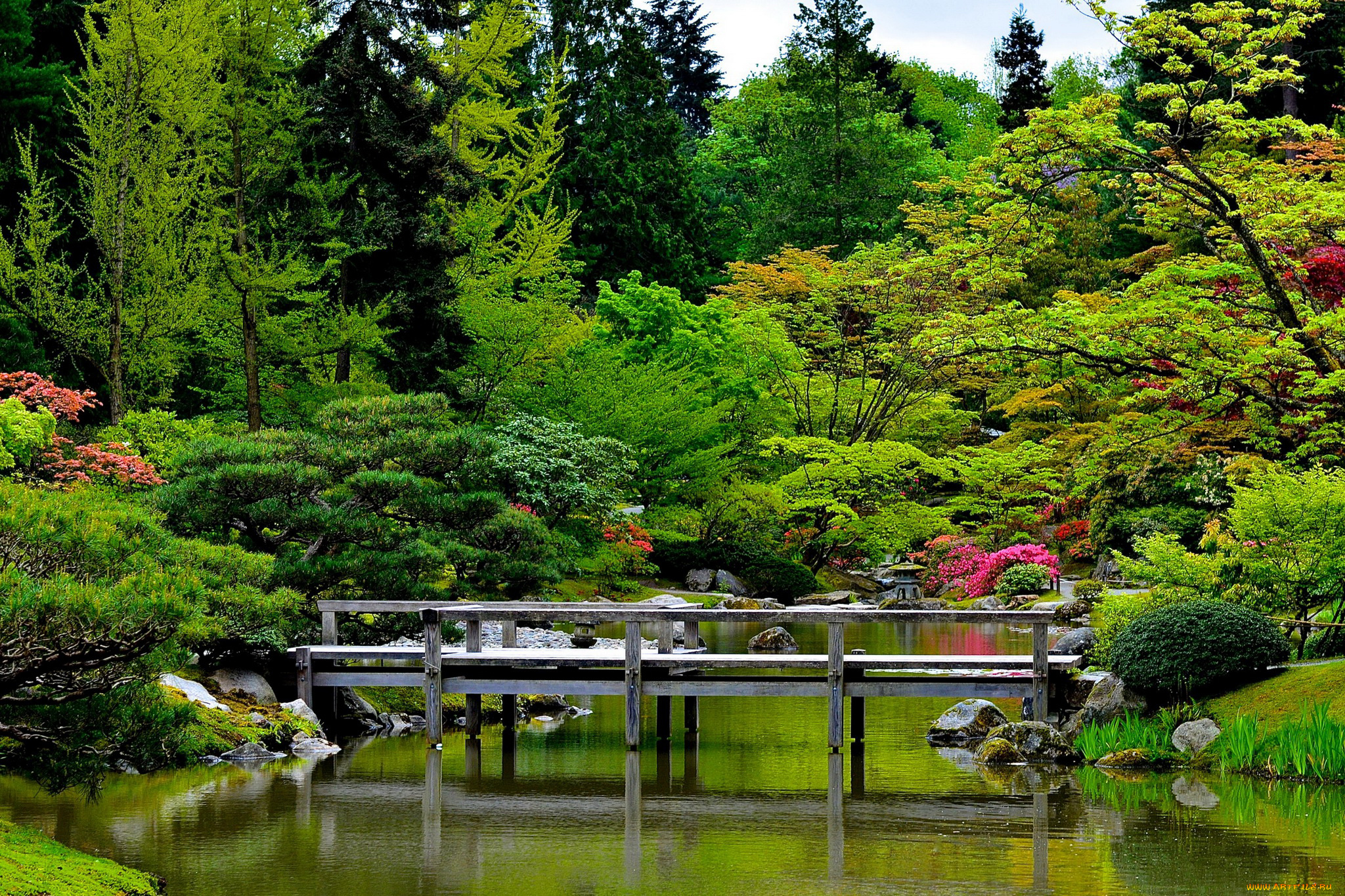 природа, парк, вода, деревья, мост, камни