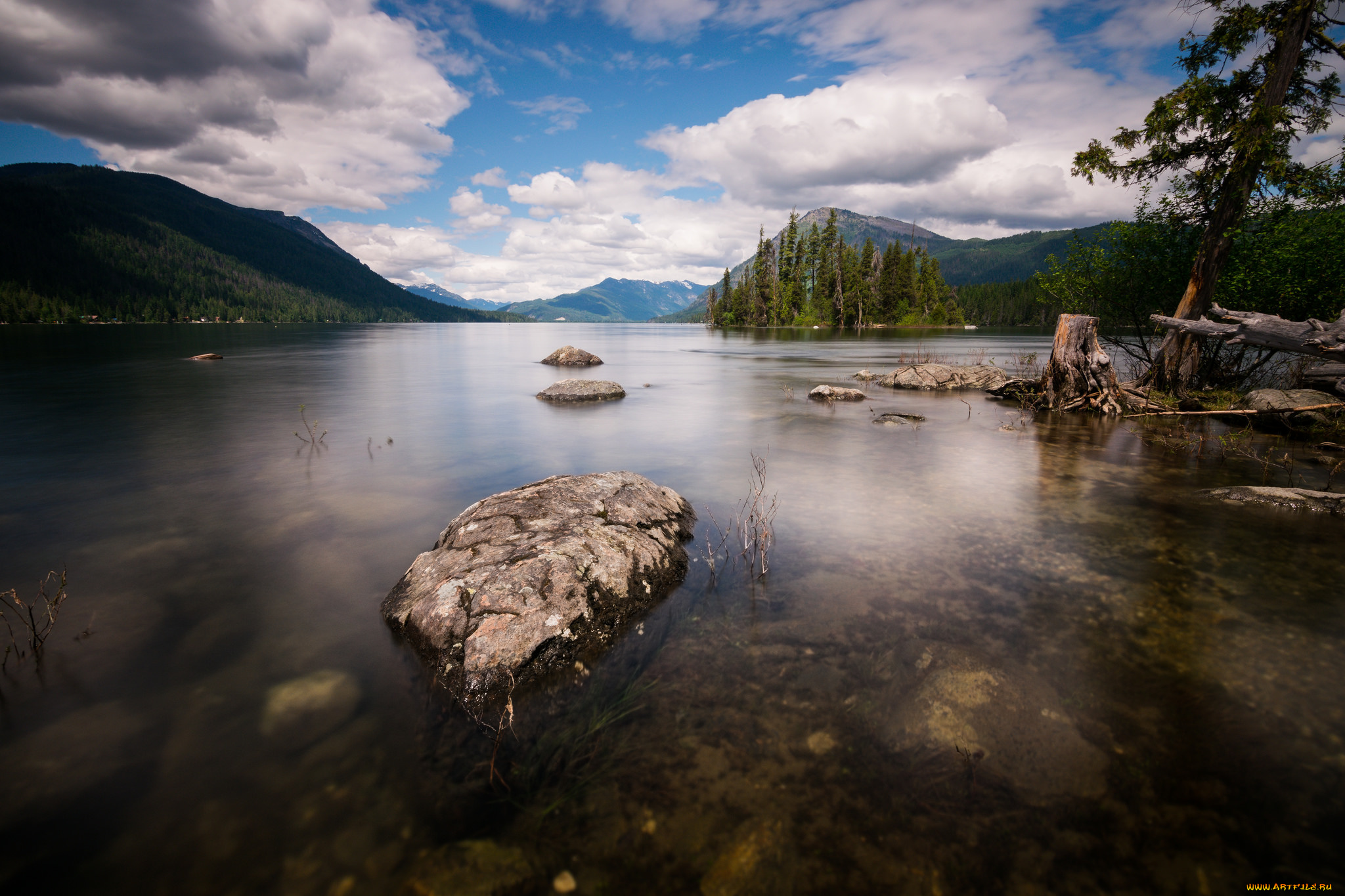 природа, реки, озера, лес, река