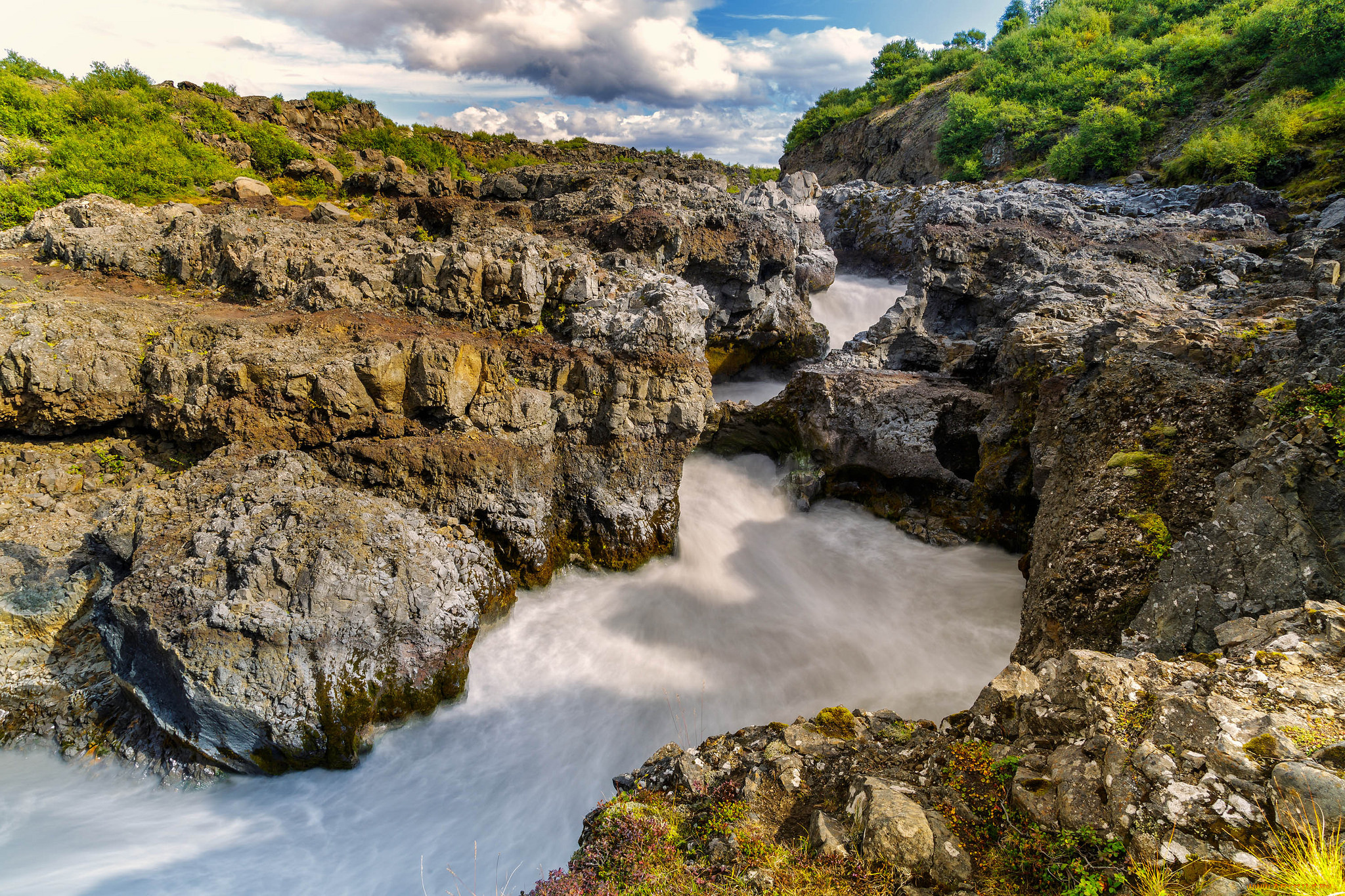 природа, реки, озера, лес, река