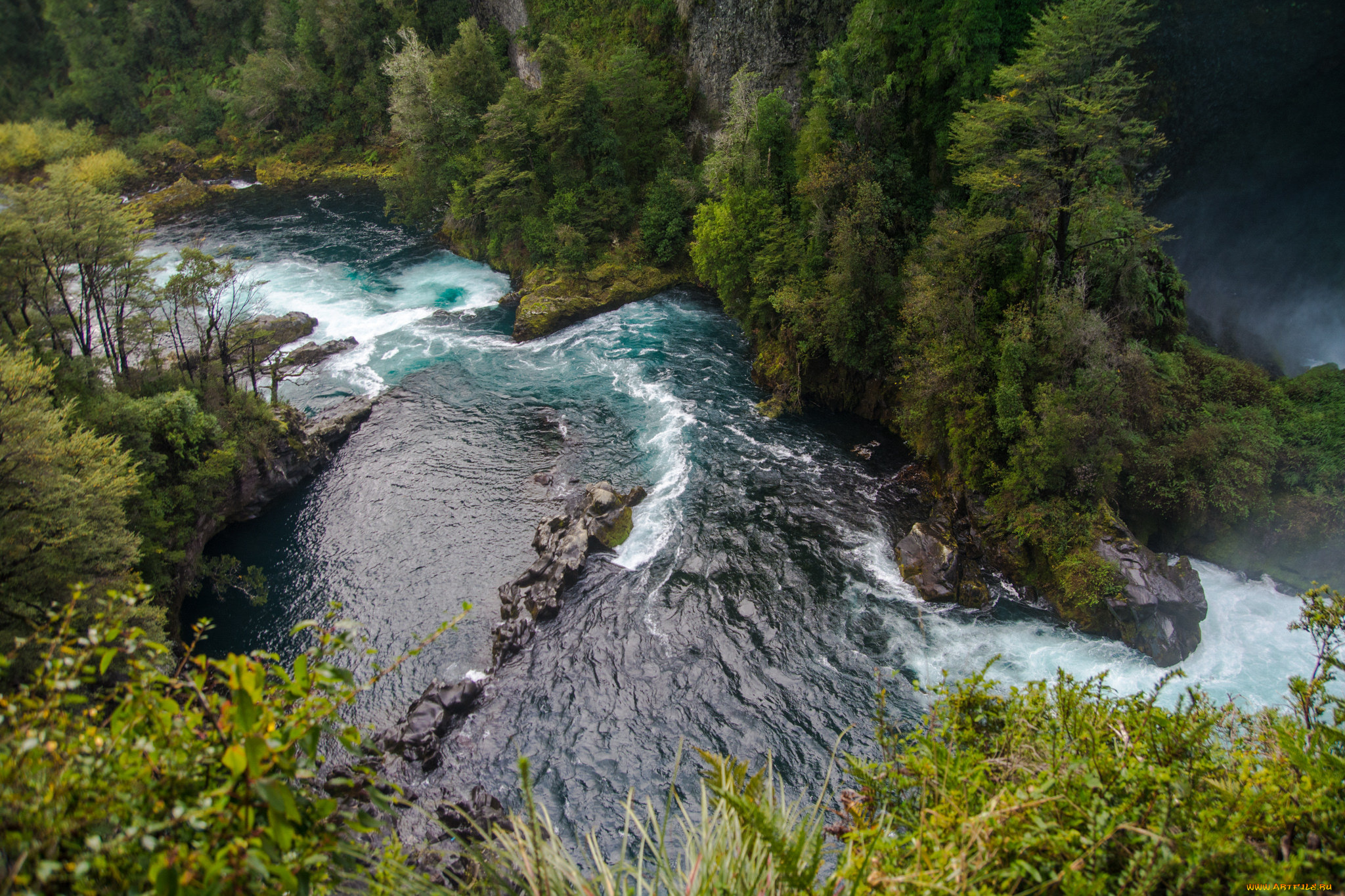 природа, реки, озера, лес, река