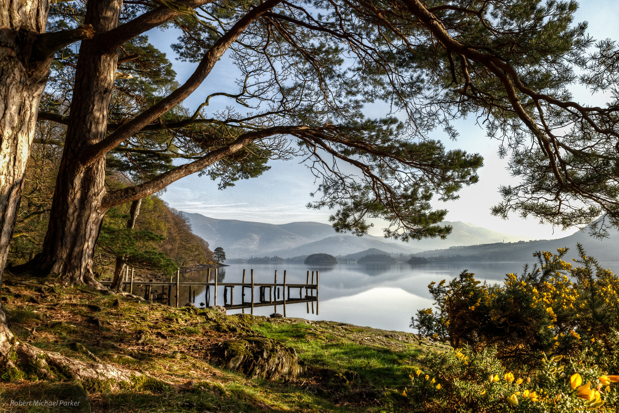 природа, реки, озера, лес, река